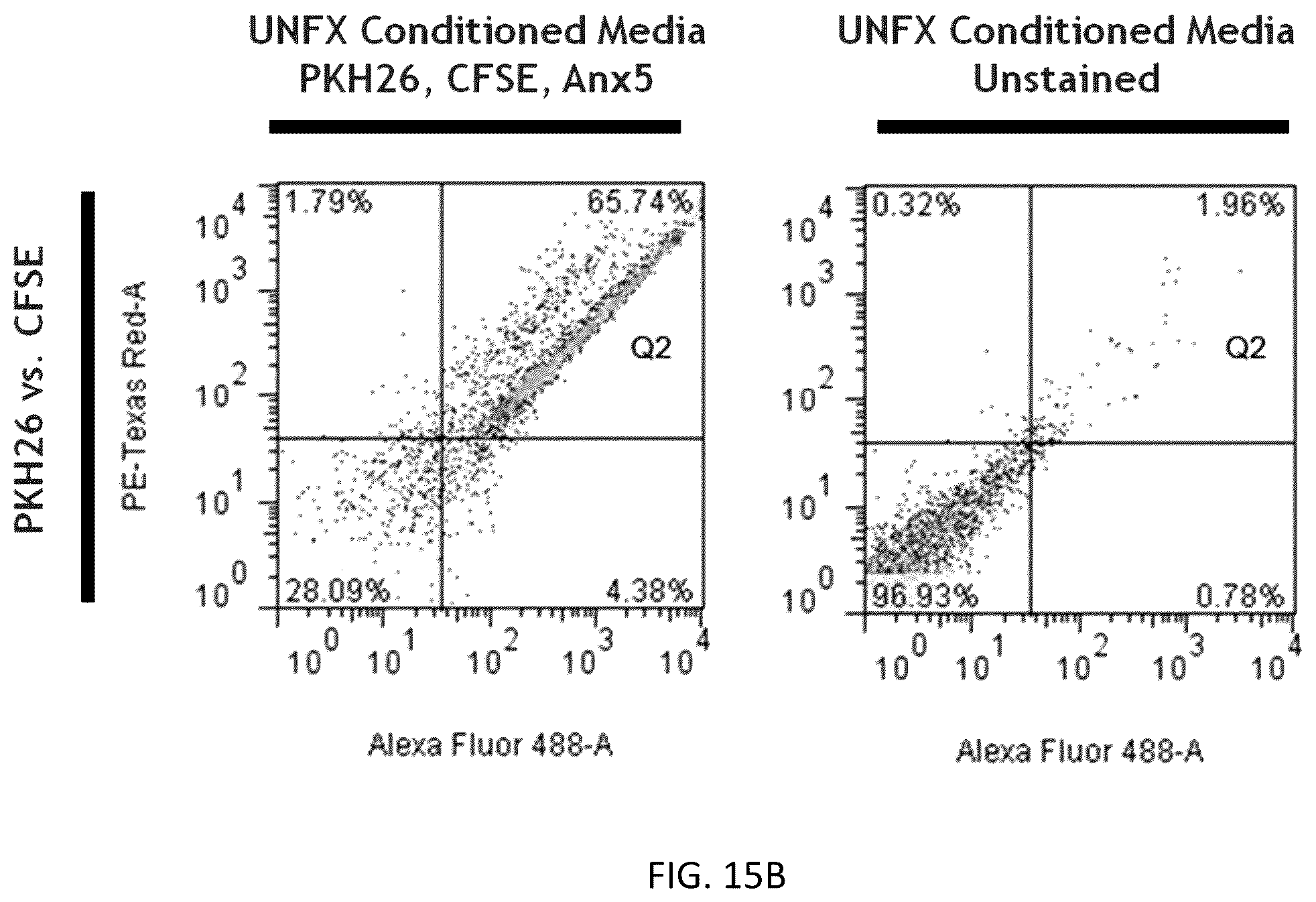 Patent US12157887 Figure 16 – Bioactive renal cells