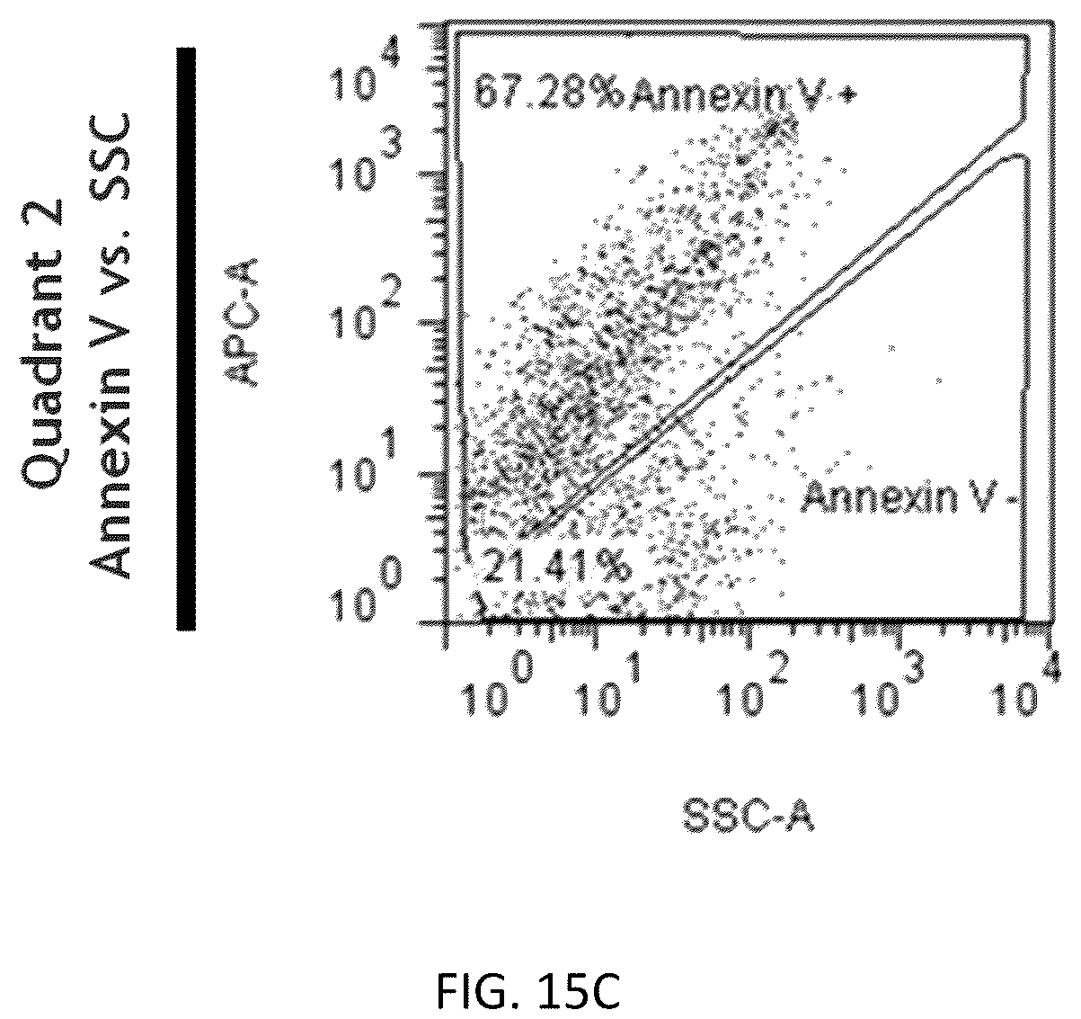 Patent US12157887 Figure 17 – Bioactive renal cells