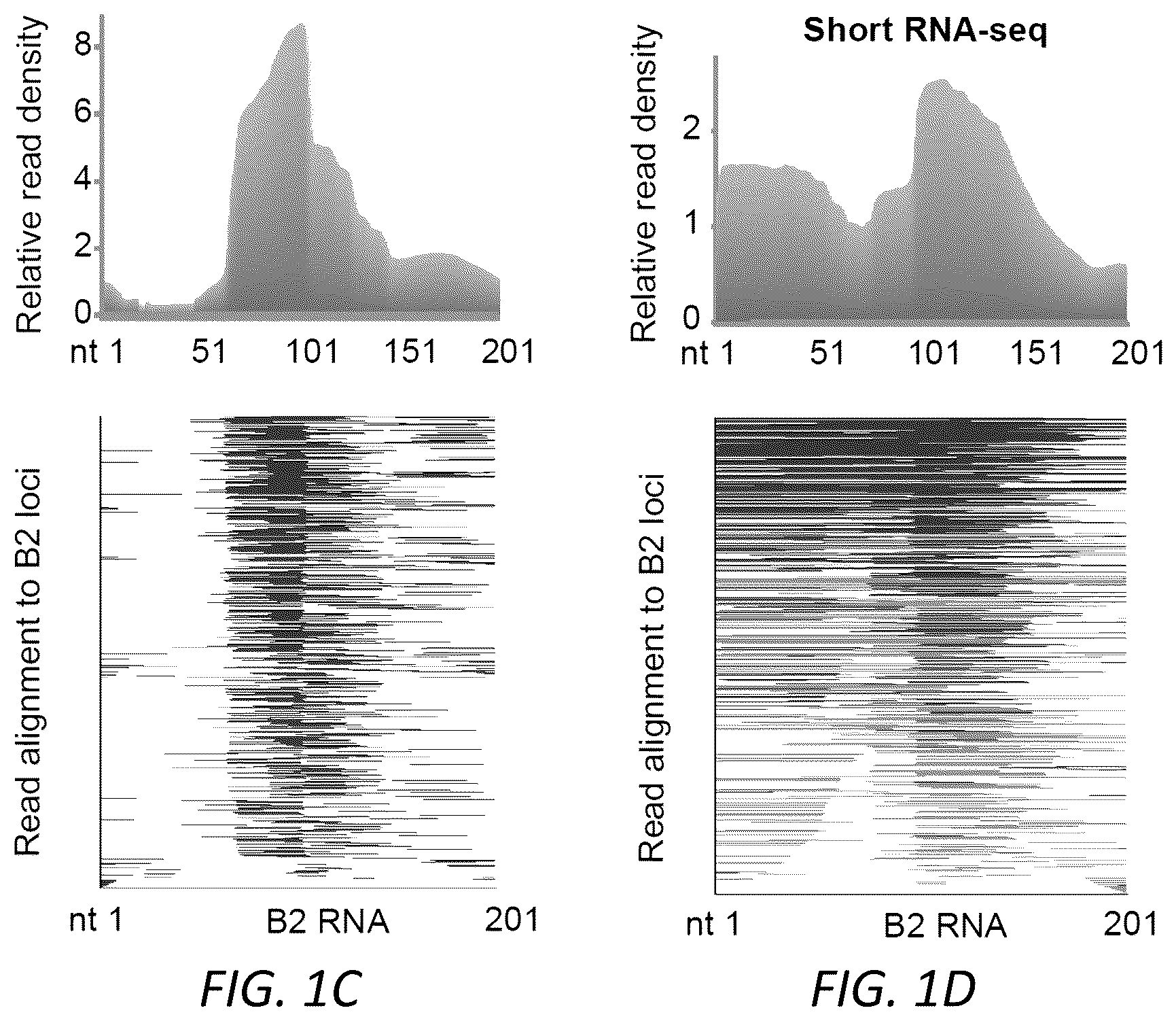 Patent US12157888 Figure 3 – Modulating the cellular stress response