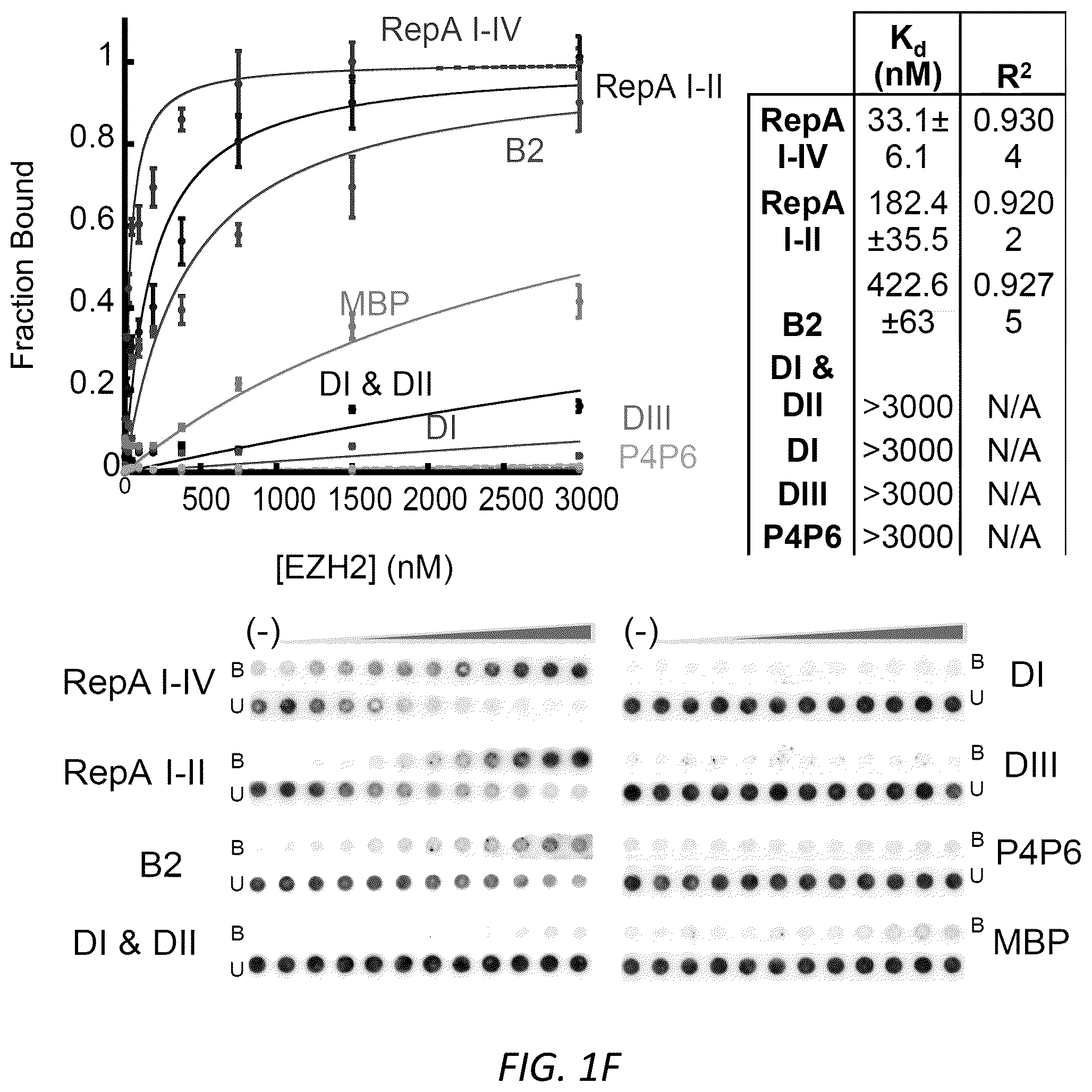 Patent US12157888 Figure 5 – Modulating the cellular stress response