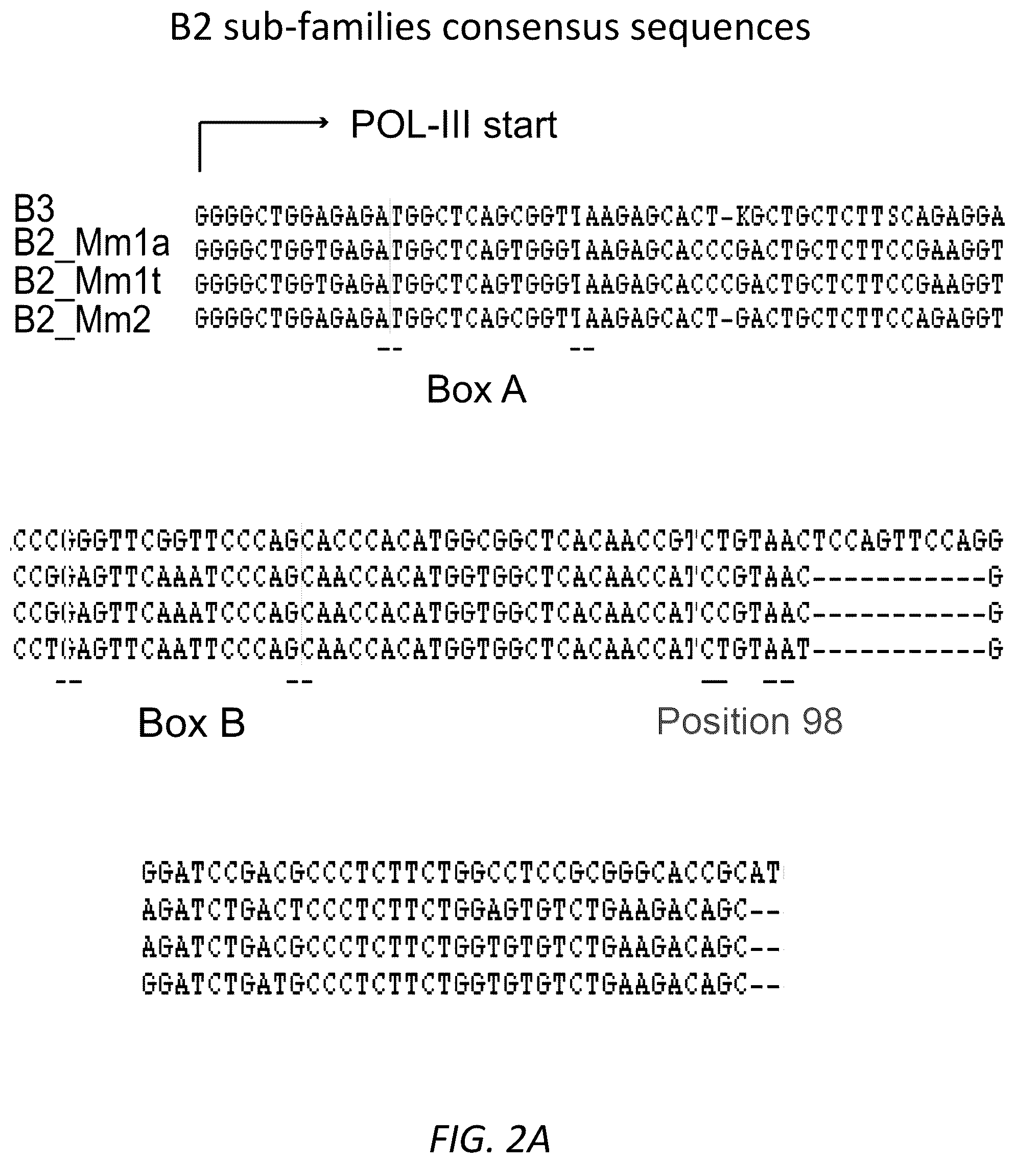 Patent US12157888 Figure 6 – Modulating the cellular stress response
