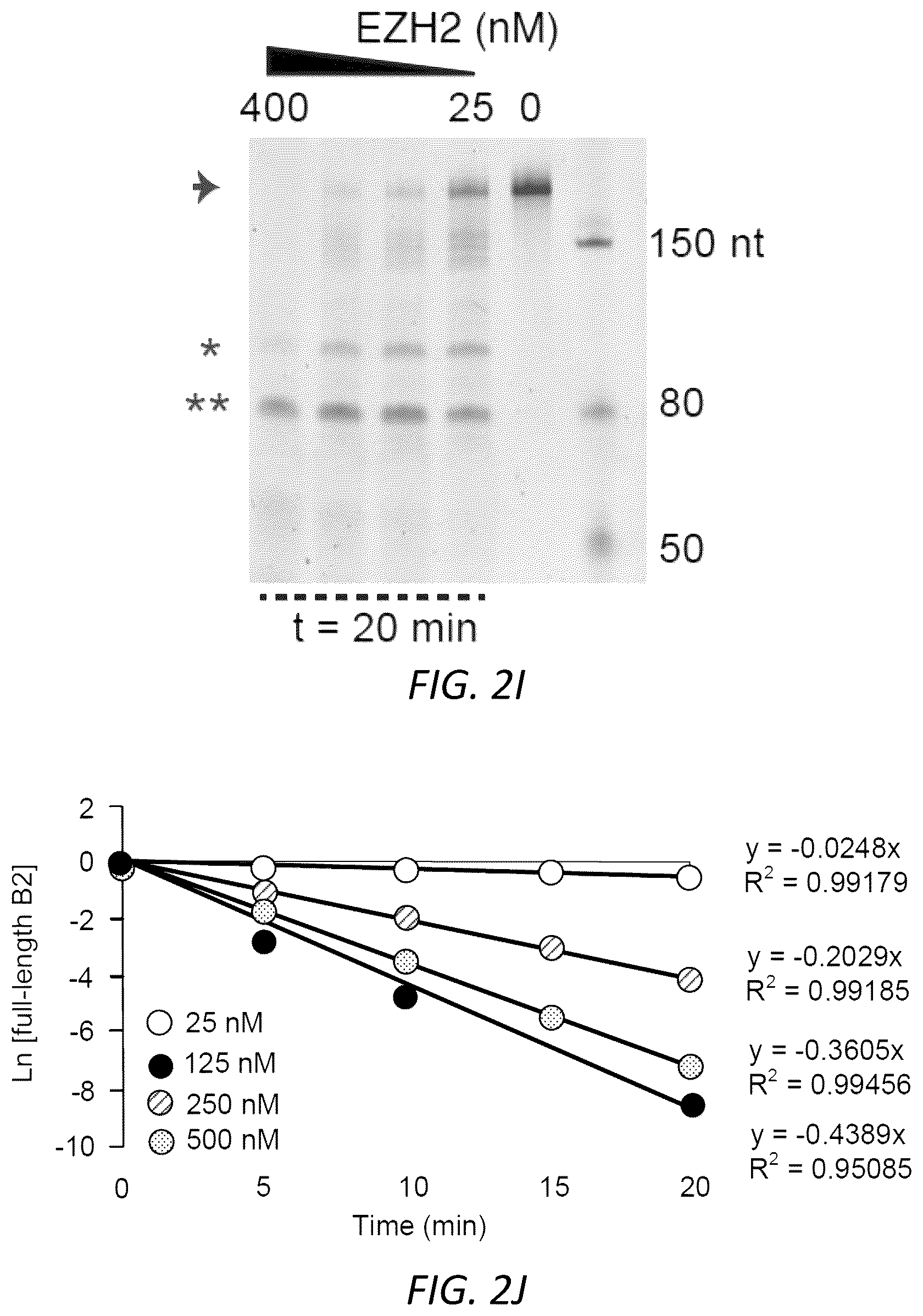 Patent US12157888 Figure 10 – Modulating the cellular stress response