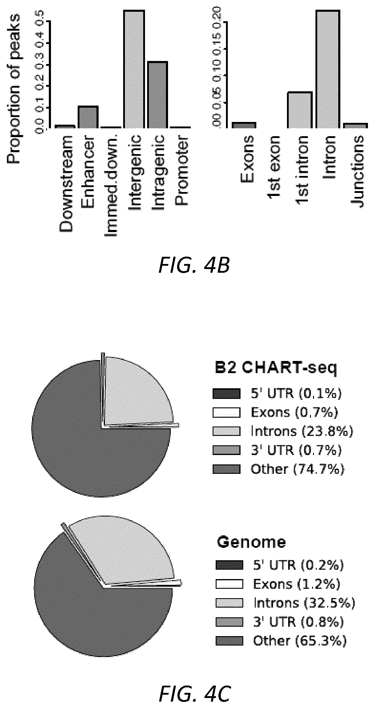 Patent US12157888 Figure 14 – Modulating the cellular stress response