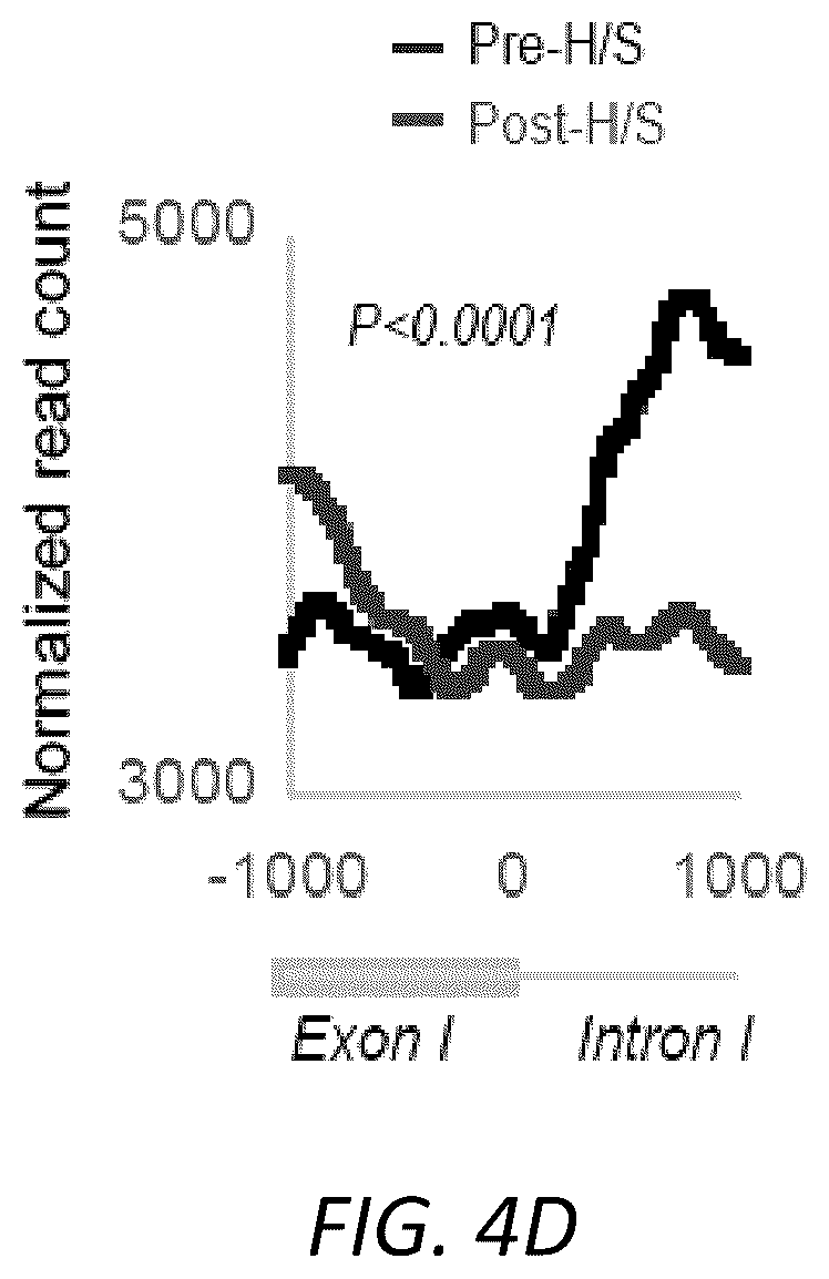 Patent US12157888 Figure 15 – Modulating the cellular stress response