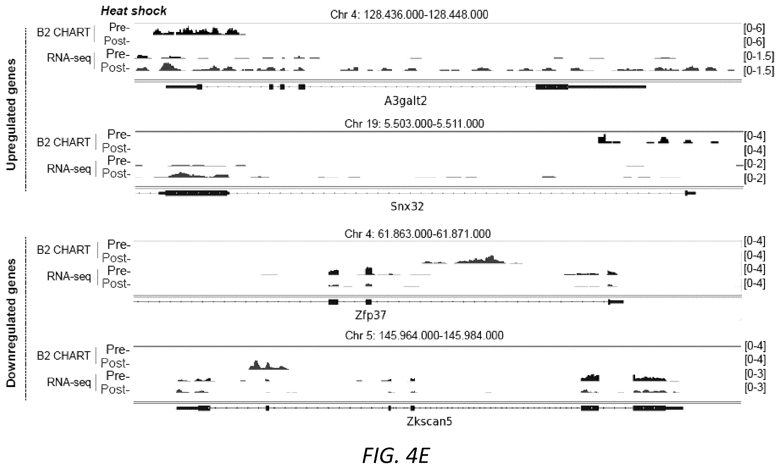Patent US12157888 Figure 16 – Modulating the cellular stress response