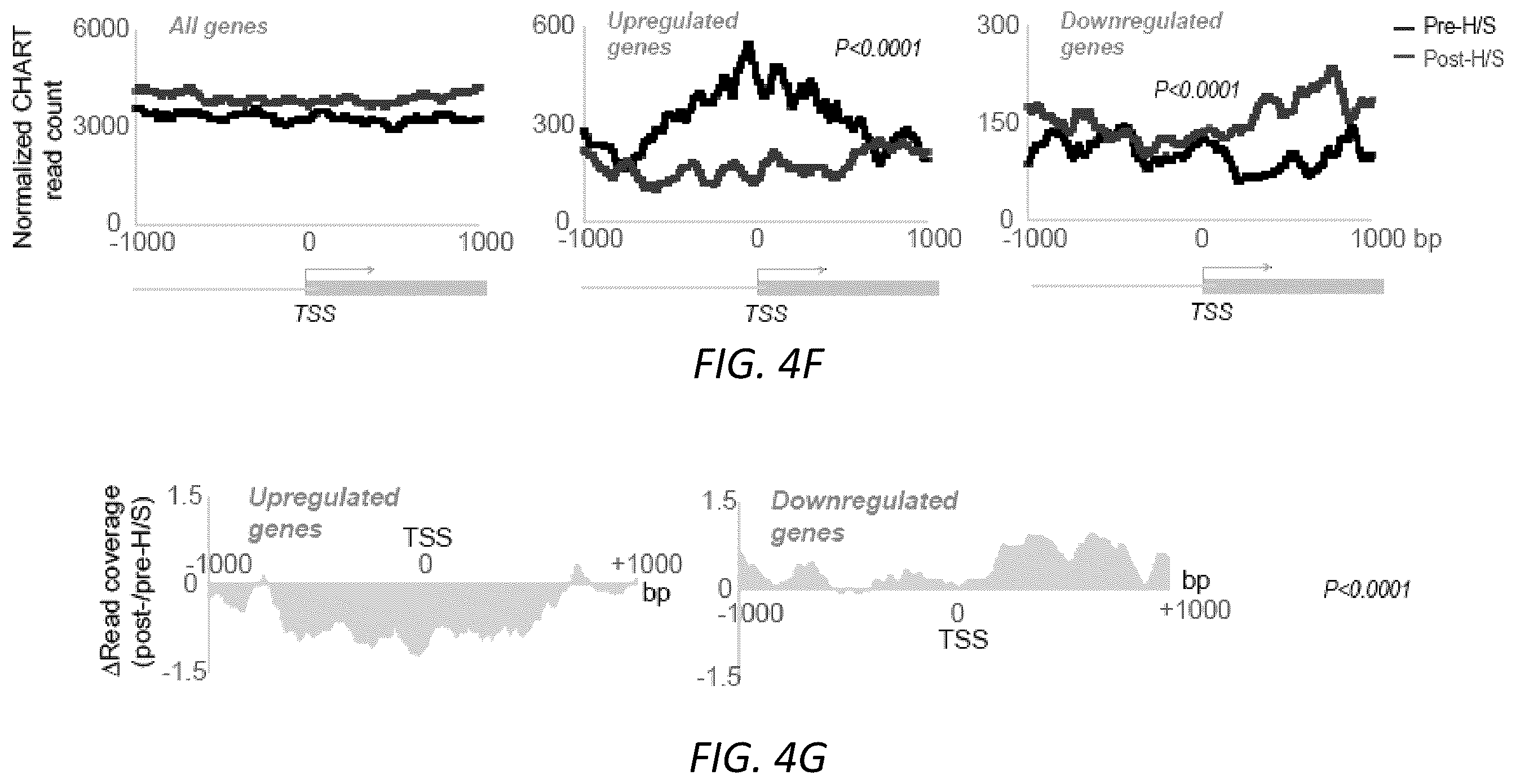 Patent US12157888 Figure 17 – Modulating the cellular stress response
