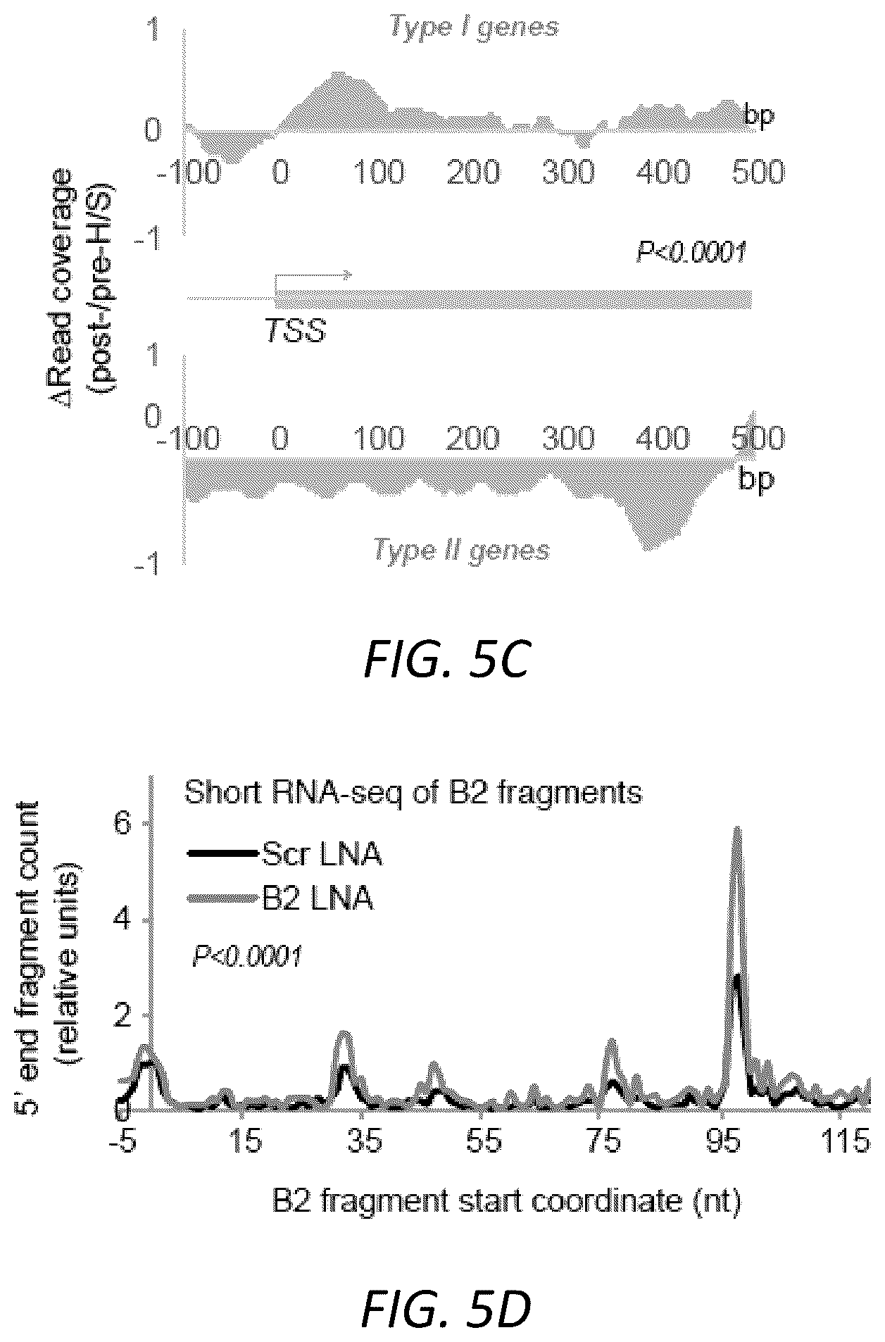 Patent US12157888 Figure 19 – Modulating the cellular stress response