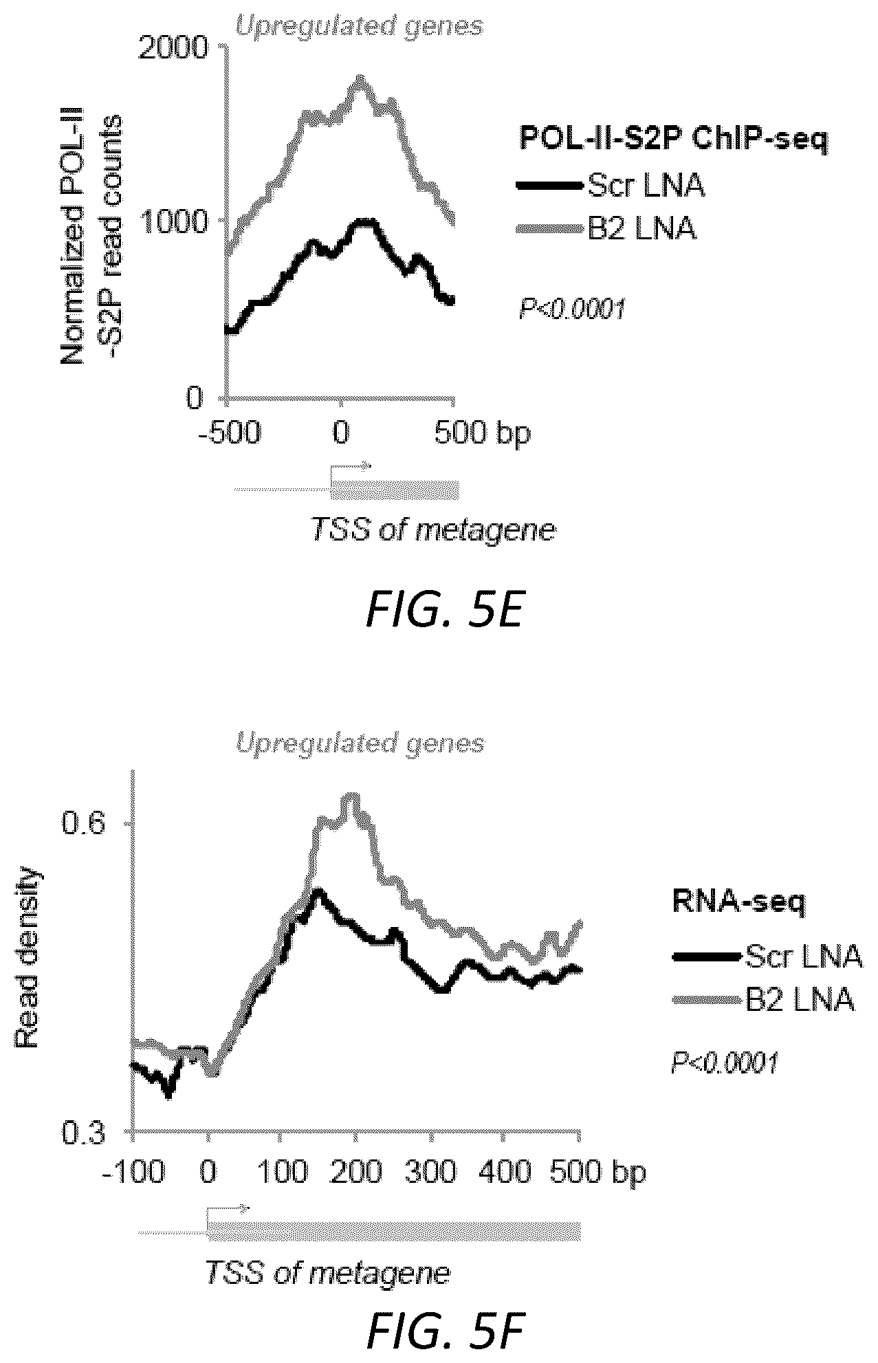 Patent US12157888 Figure 20 – Modulating the cellular stress response