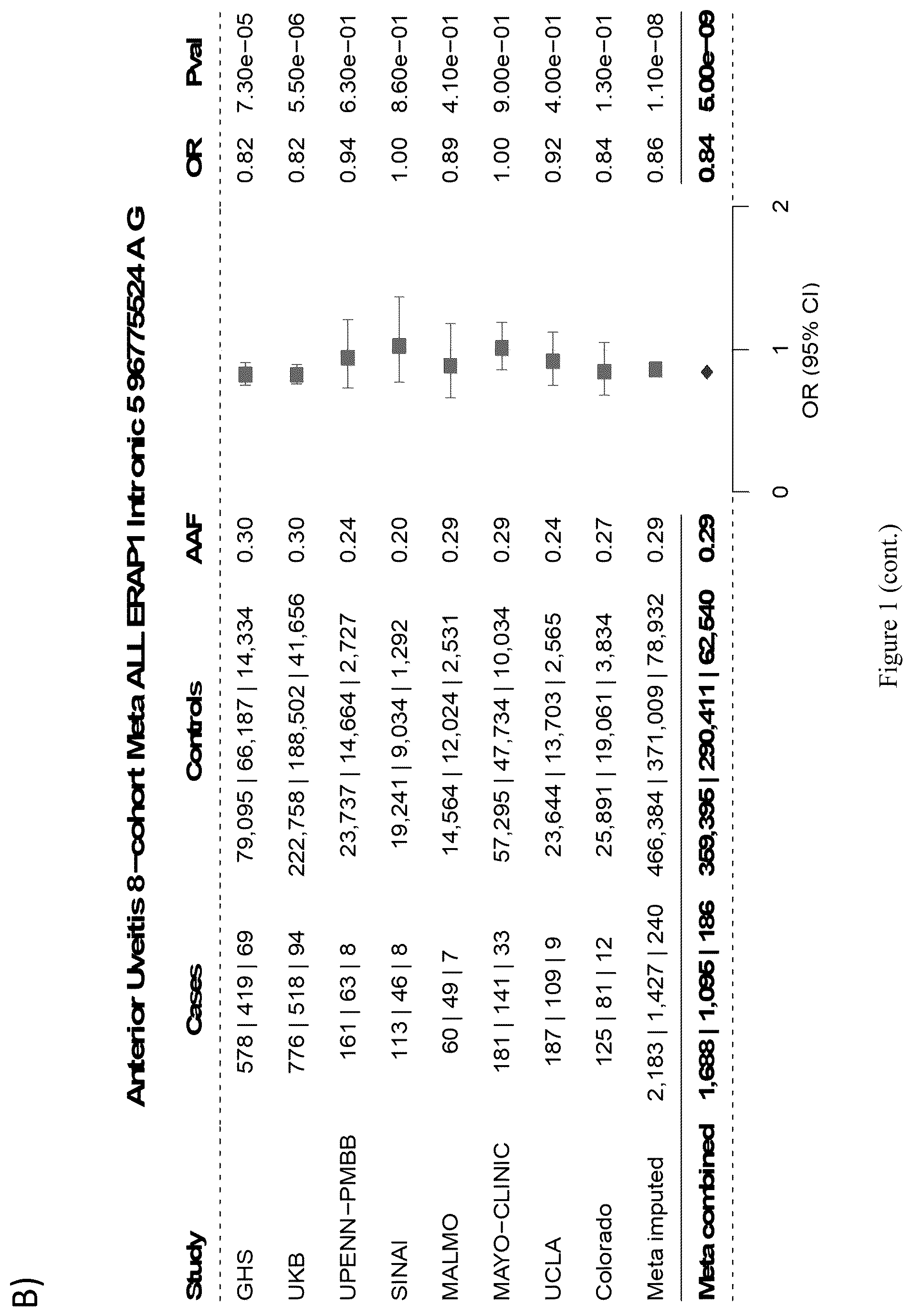 Patent US12157891 Figure 2 – Treatment of uveitis with endoplasmic reticulum aminopeptidase 1 (ERAP1) inhibitors