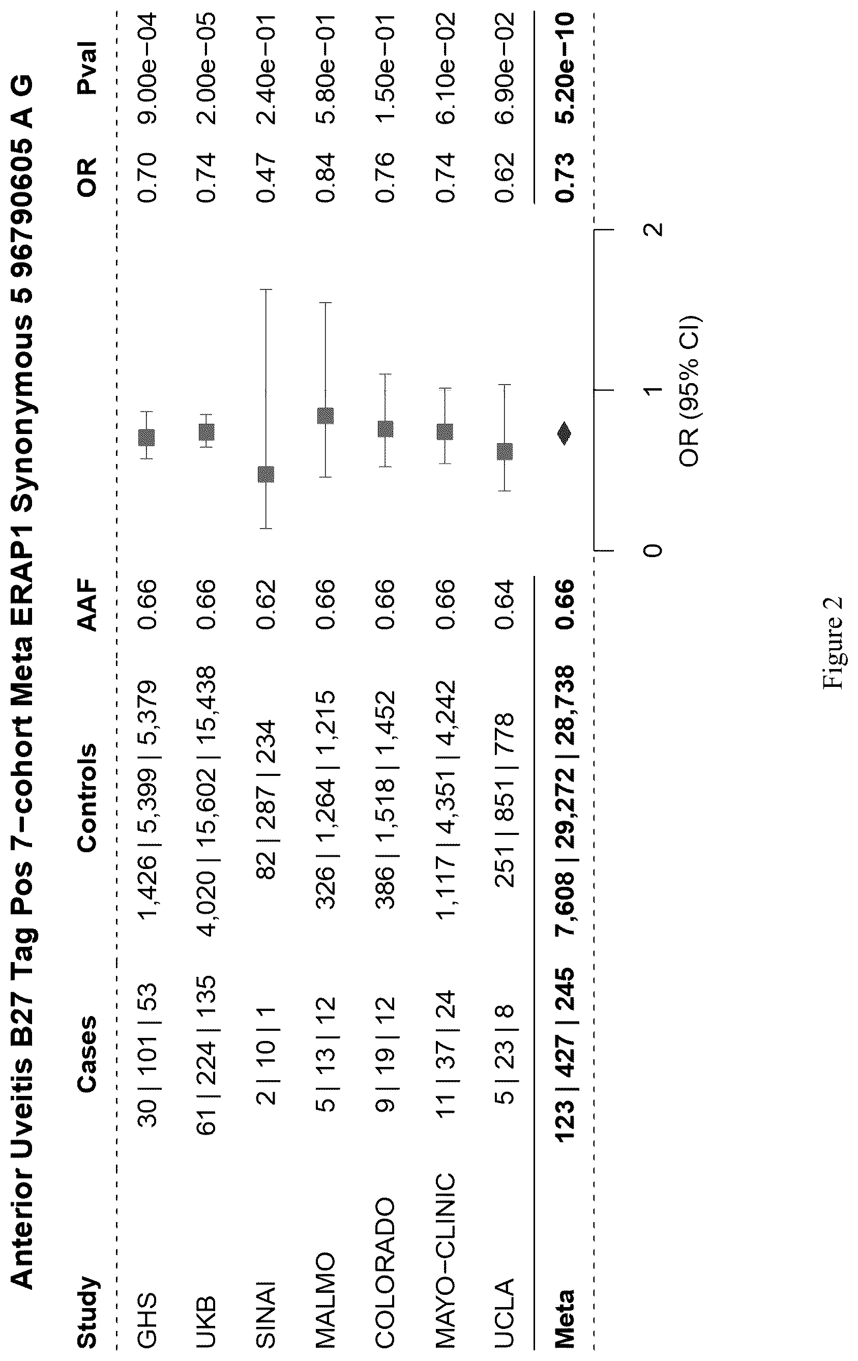 Patent US12157891 Figure 3 – Treatment of uveitis with endoplasmic reticulum aminopeptidase 1 (ERAP1) inhibitors