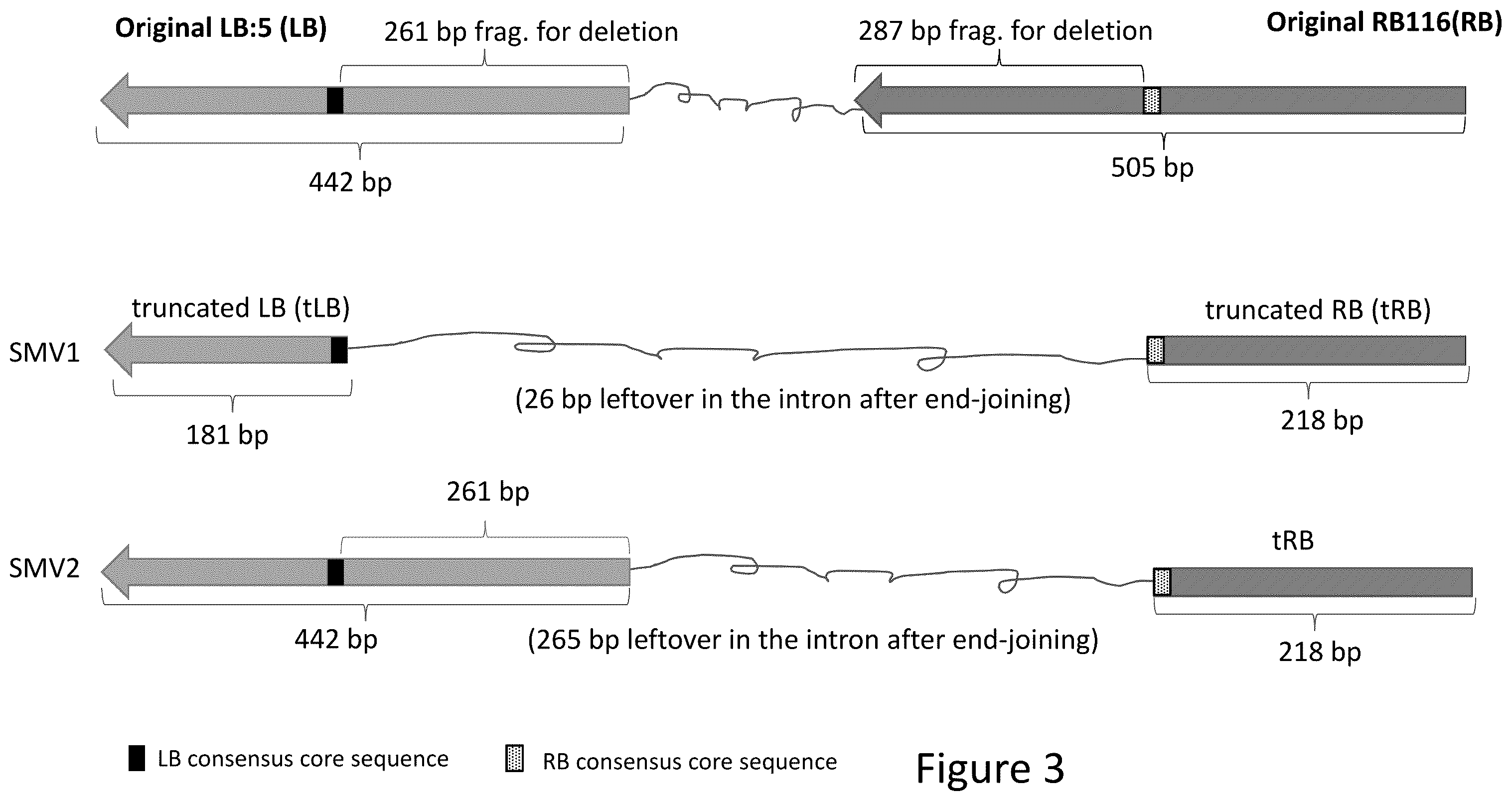 Patent US12157893 Figure 3 – Methods to improve site-directed integration frequency