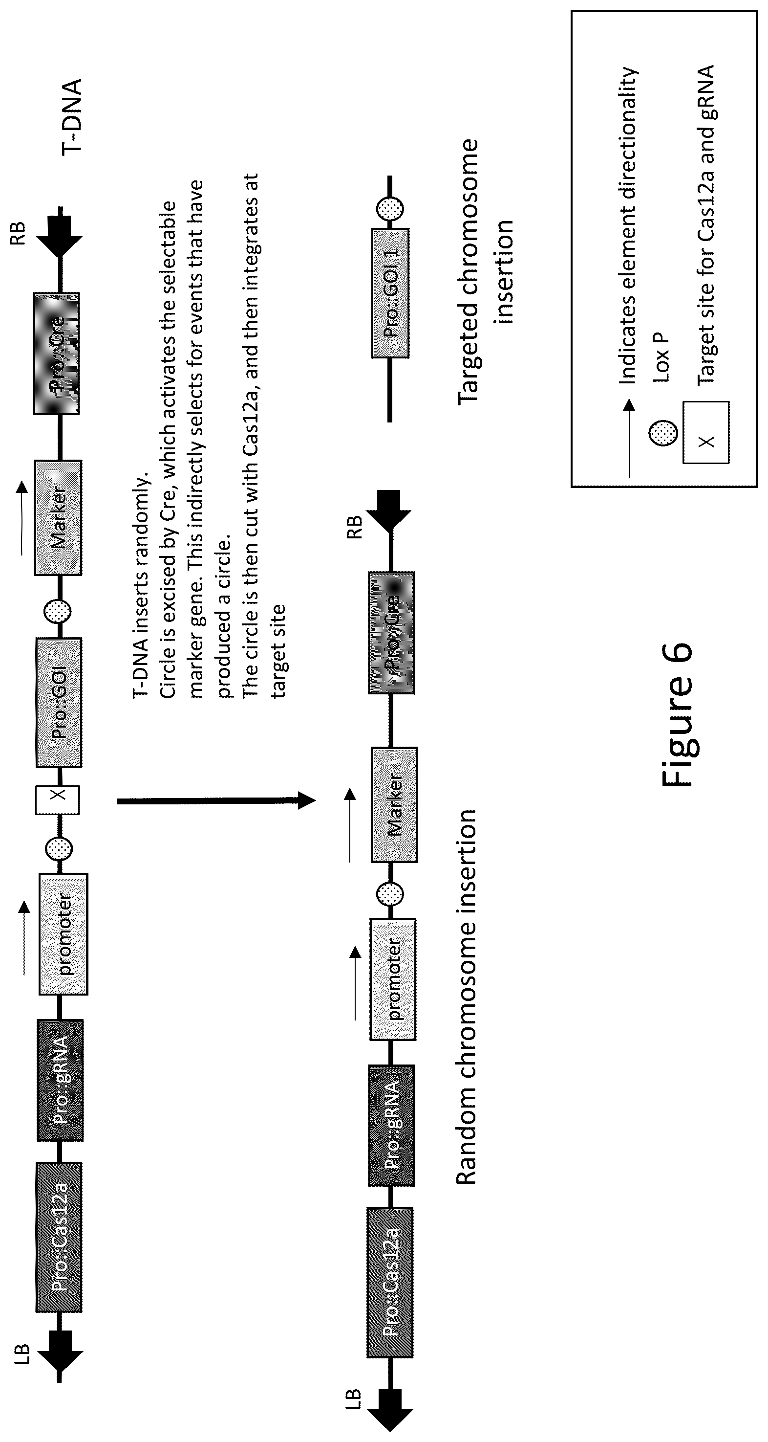 Patent US12157893 Figure 6 – Methods to improve site-directed integration frequency