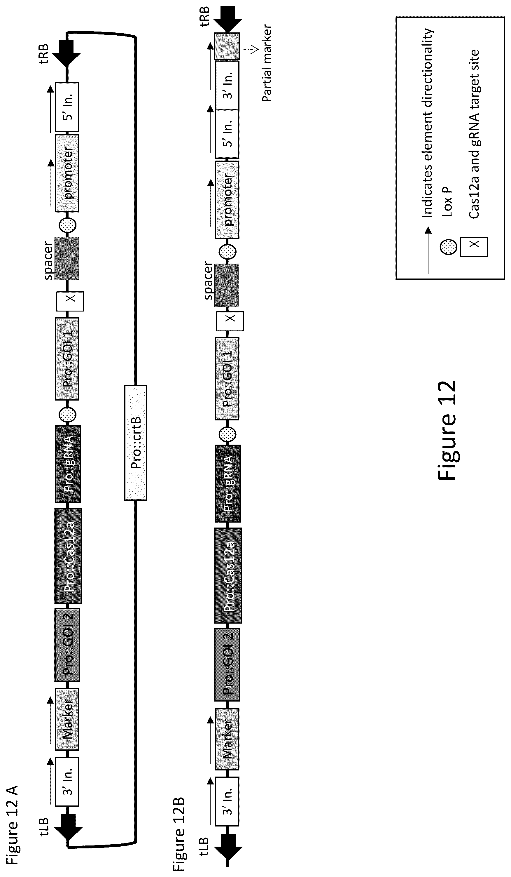 Patent US12157893 Figure 13 – Methods to improve site-directed integration frequency