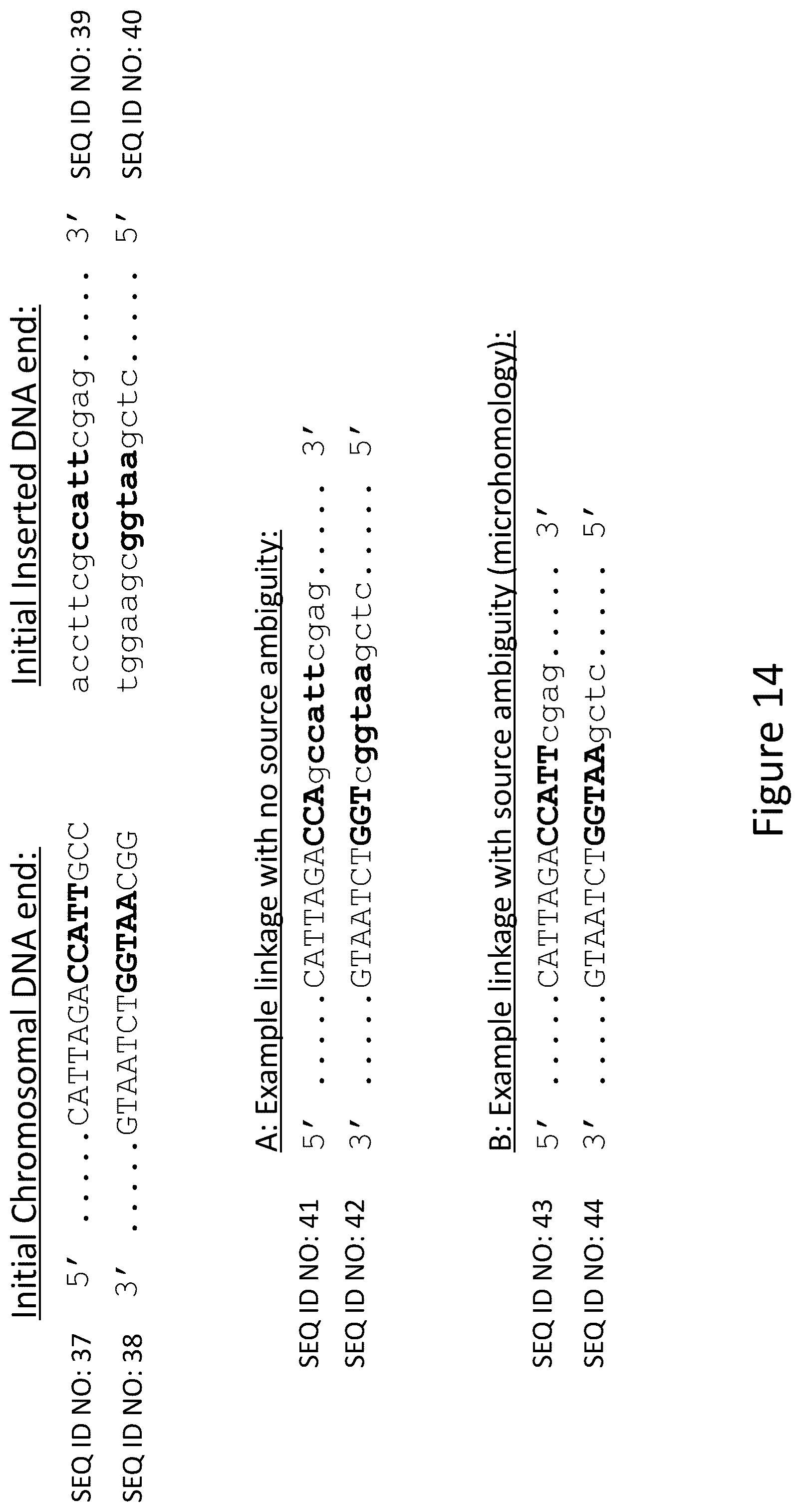 Patent US12157893 Figure 15 – Methods to improve site-directed integration frequency