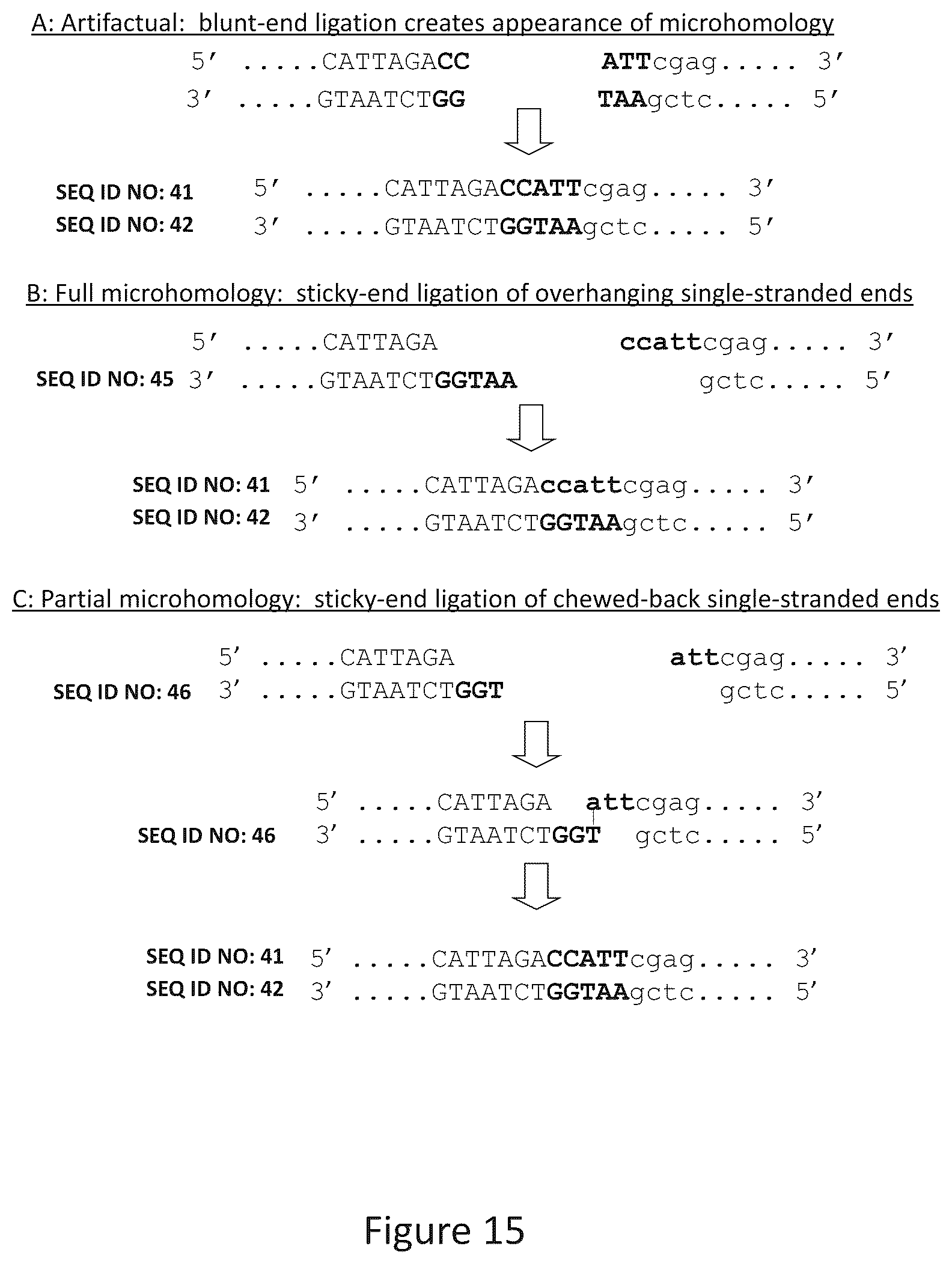 Patent US12157893 Figure 16 – Methods to improve site-directed integration frequency