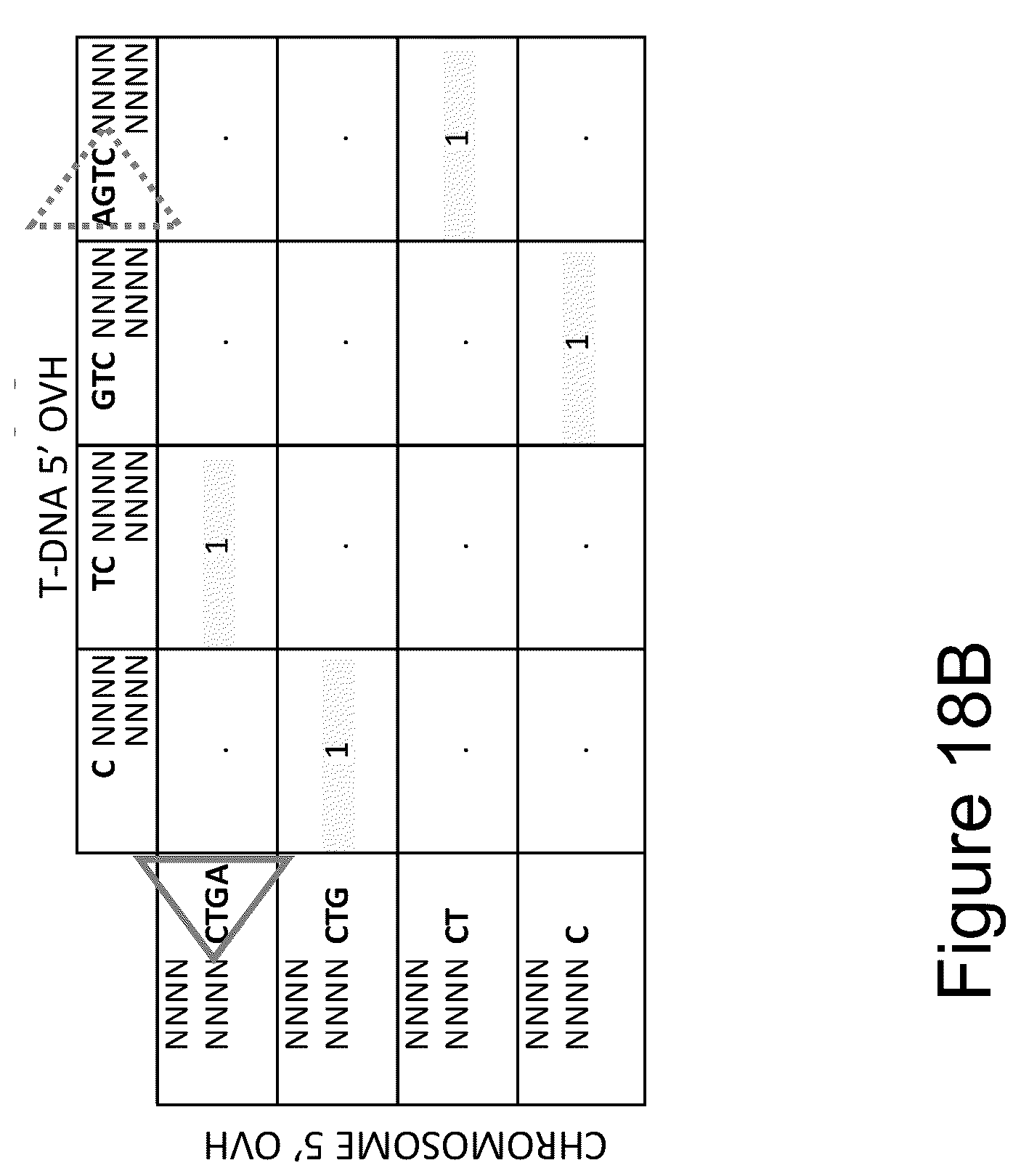 Patent US12157893 Figure 20 – Methods to improve site-directed integration frequency