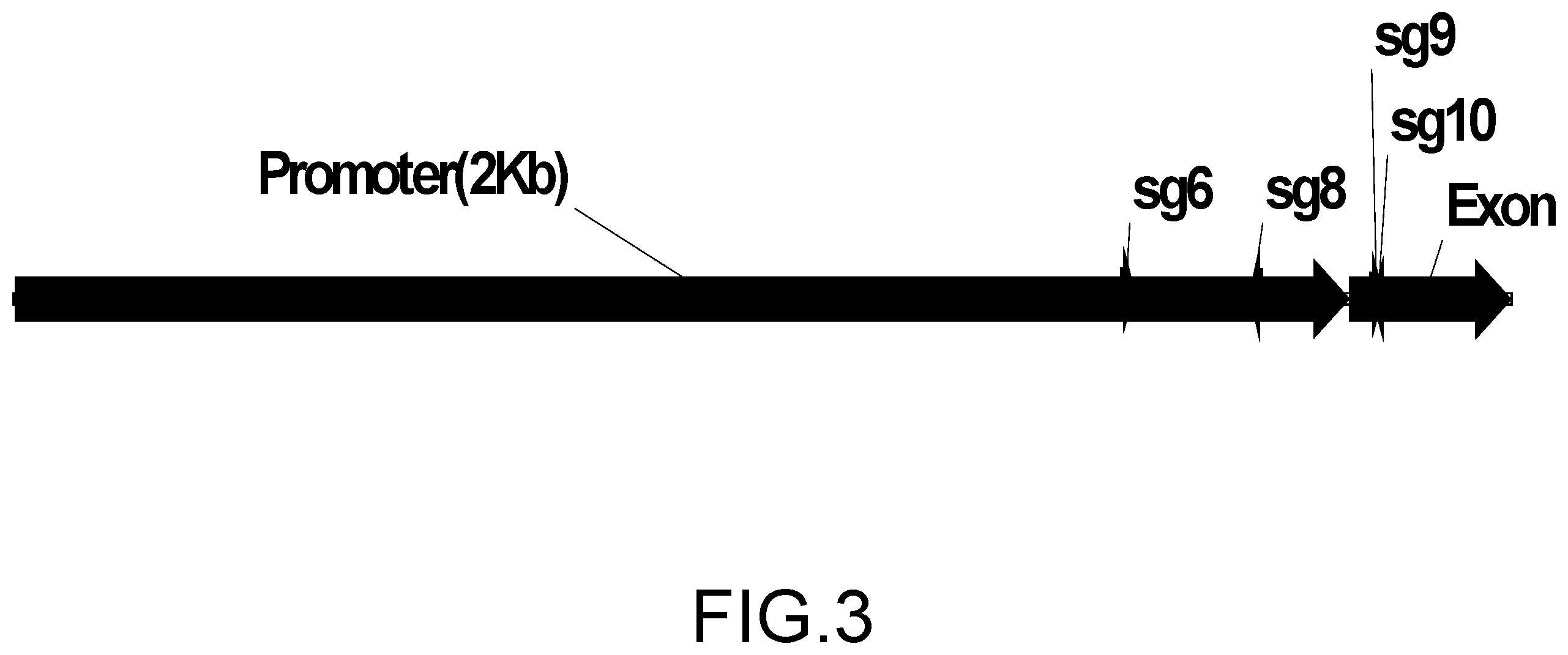 Patent US12157894 Figure 3 – Abiotic stress tolerant plants and methods