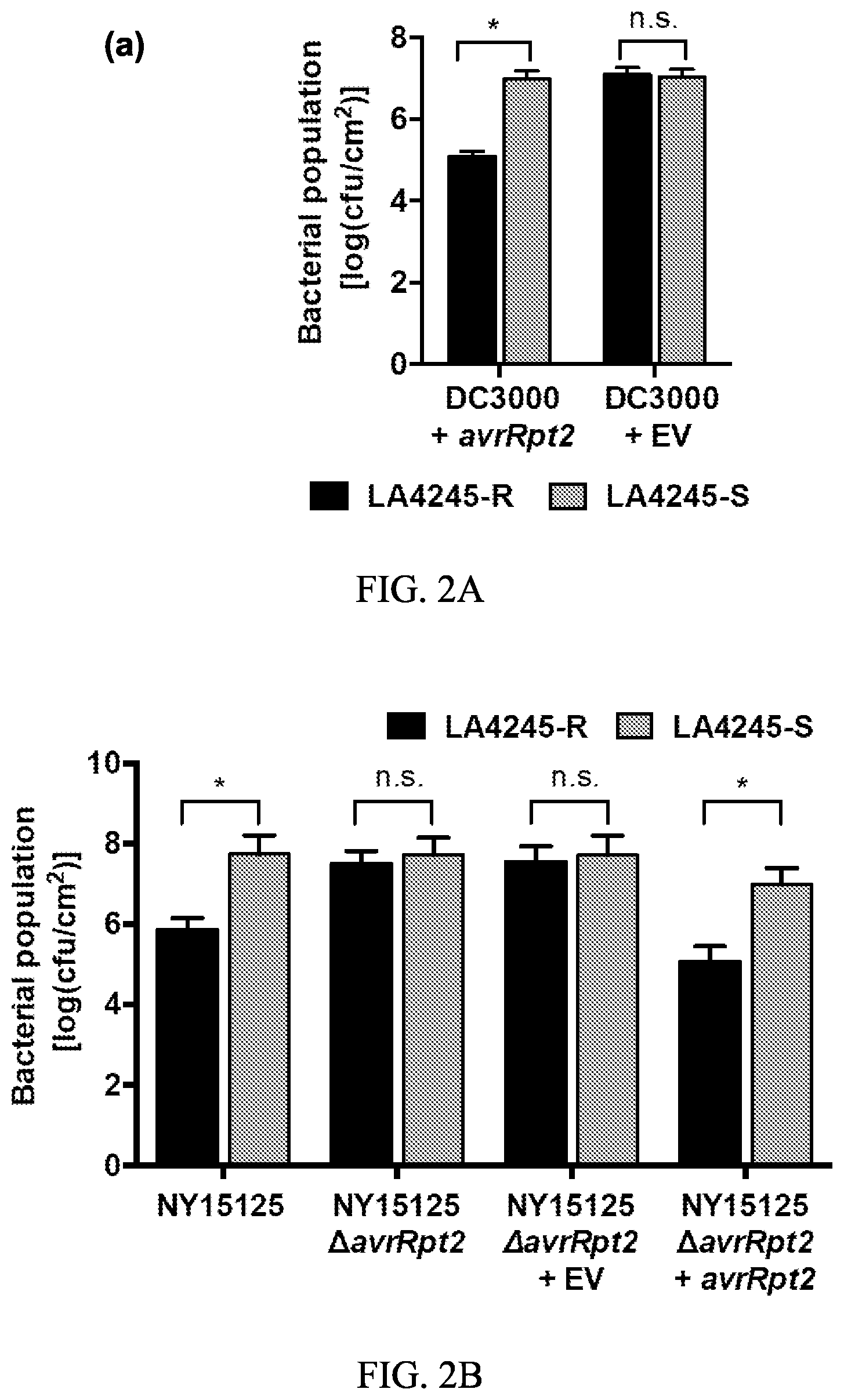 Patent US12157895 Figure 2 – Enhanced disease resistance in plants