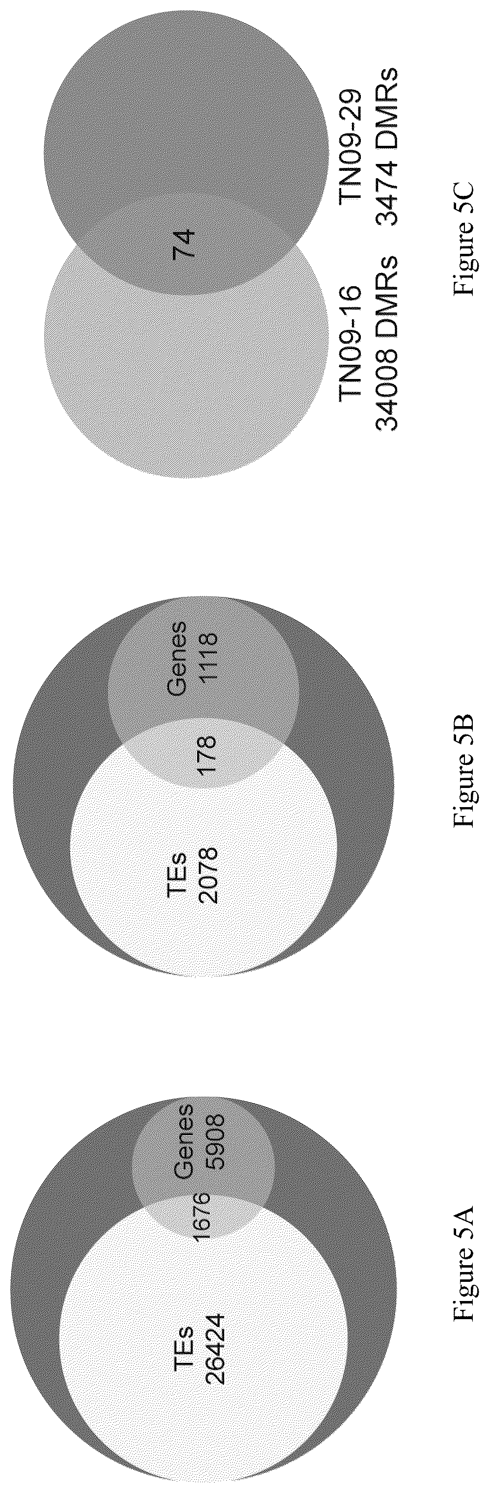 Patent US12157896 Figure 11 – Discovery of soybean cyst nematode resistance genes based on epigenetic analysis