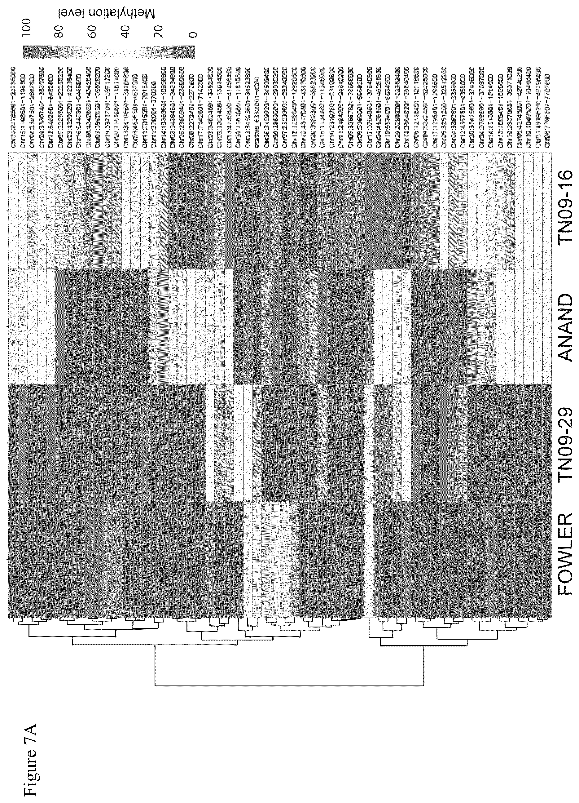 Patent US12157896 Figure 18 – Discovery of soybean cyst nematode resistance genes based on epigenetic analysis