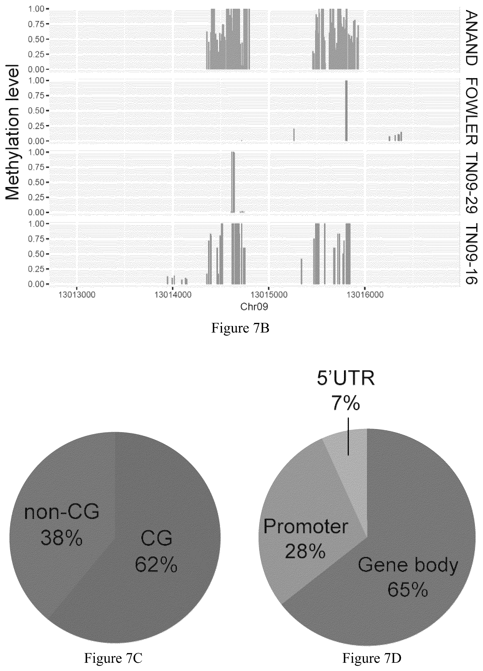 Patent US12157896 Figure 19 – Discovery of soybean cyst nematode resistance genes based on epigenetic analysis