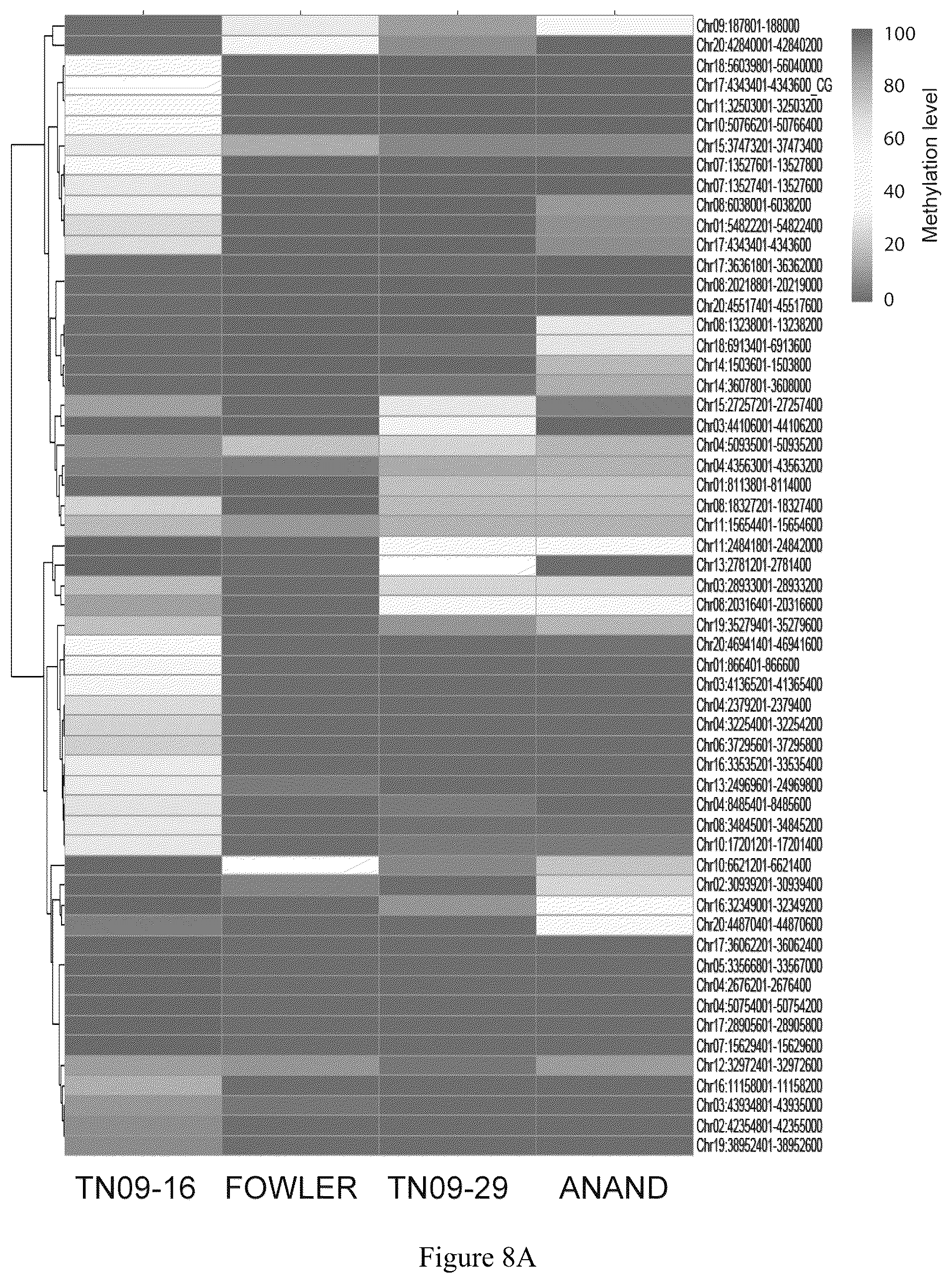 Patent US12157896 Figure 20 – Discovery of soybean cyst nematode resistance genes based on epigenetic analysis