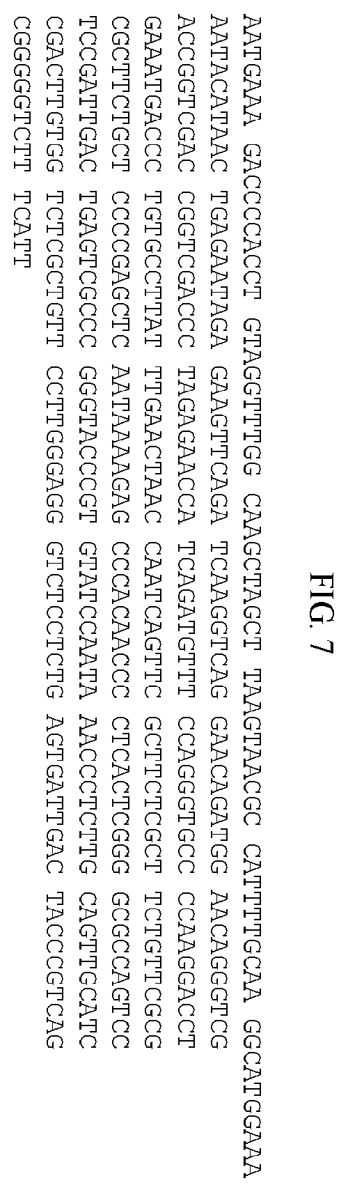 Patent US12157897 Figure 11 – Vectors for protein manufacture