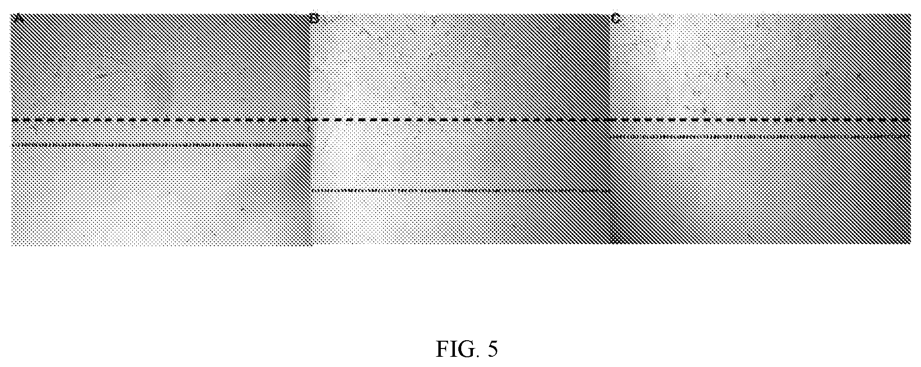 Patent US12157899 Figure 5 – Acellular placental preparations