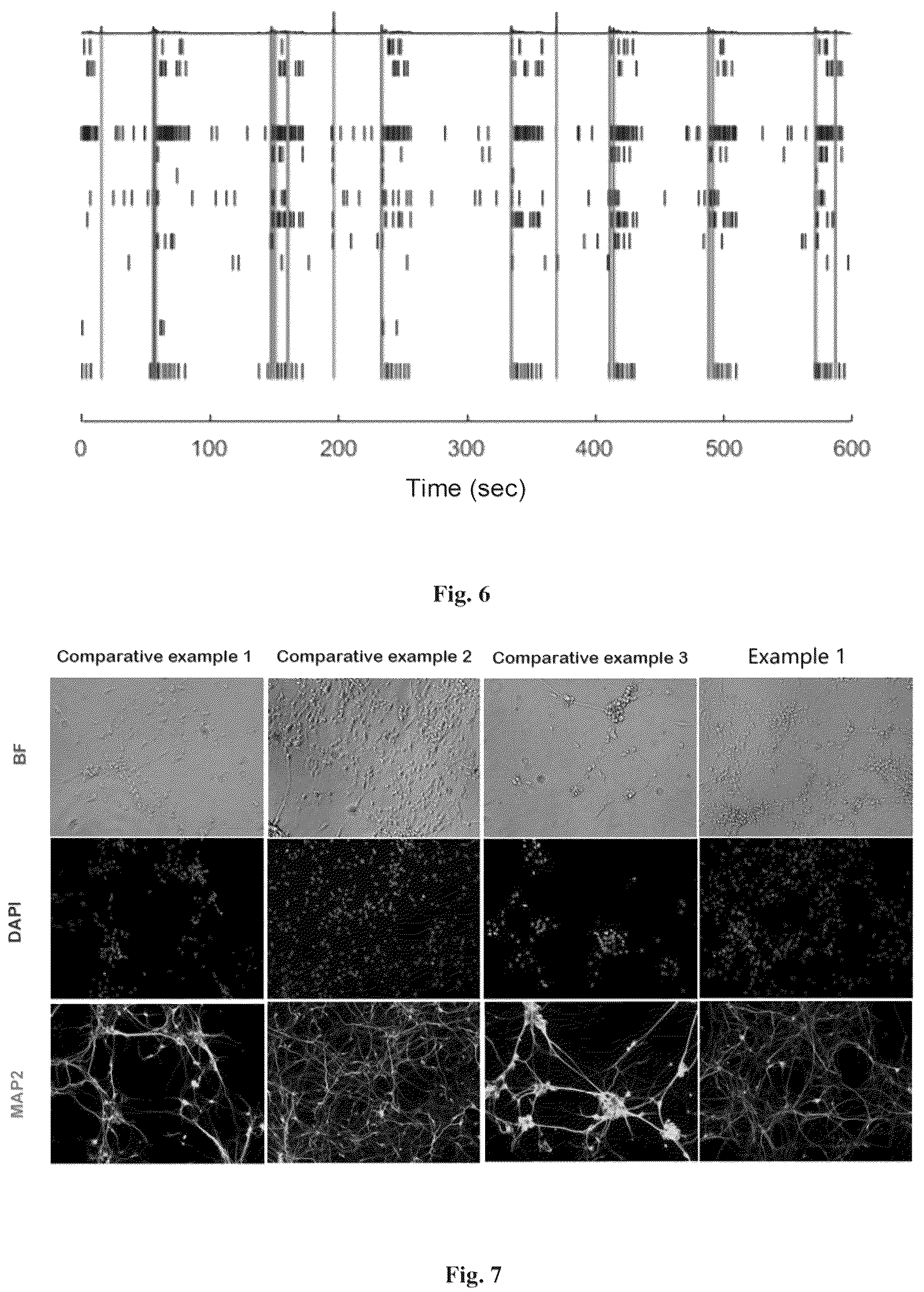 Patent US12157900 Figure 3 – Method for inducing differentiation into functional cerebral cortical cells