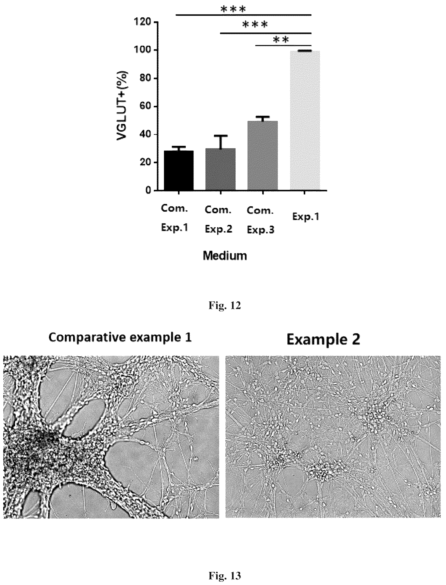 Patent US12157900 Figure 6 – Method for inducing differentiation into functional cerebral cortical cells