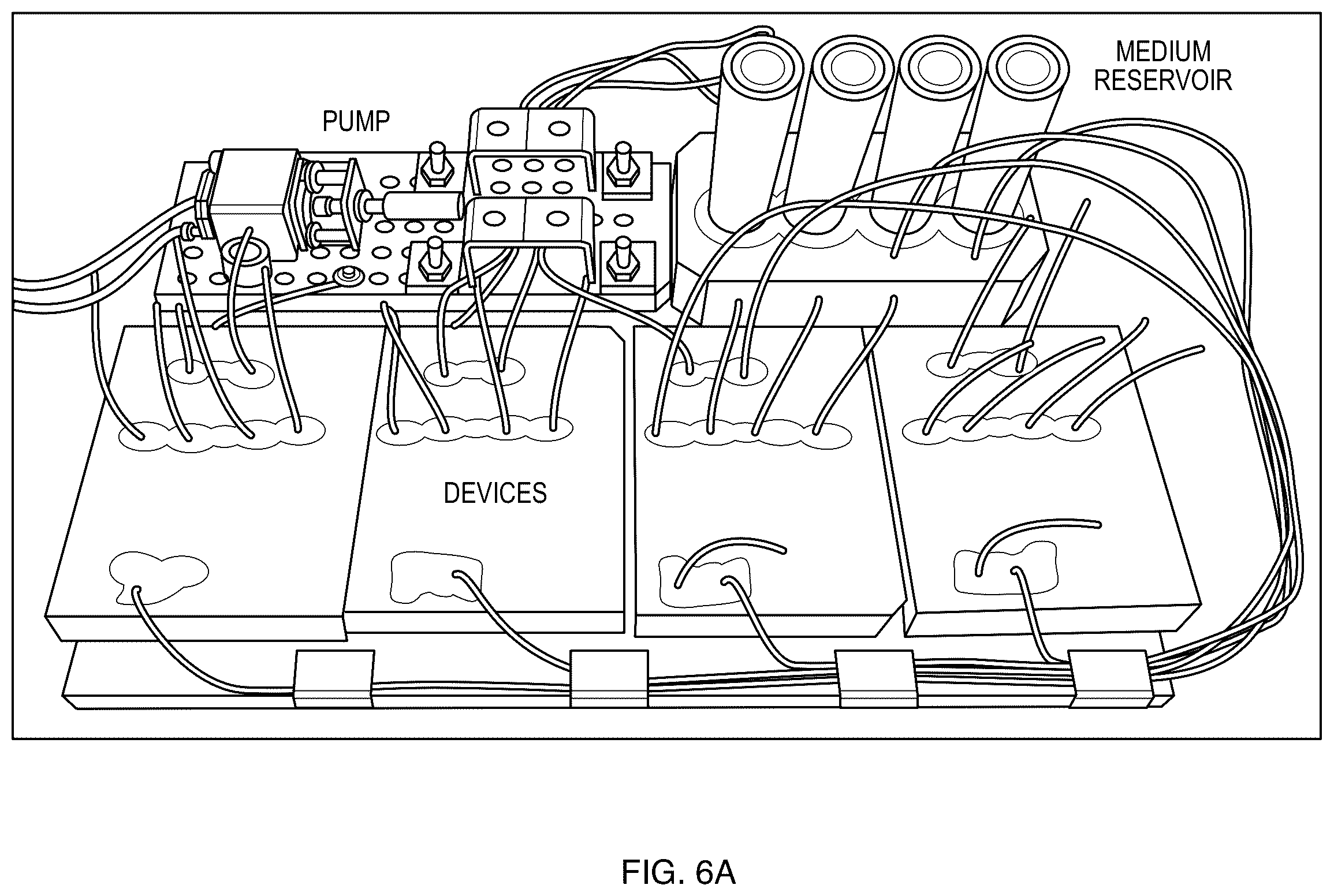 Patent US12157901 Figure 8 – Dendritic cell generator