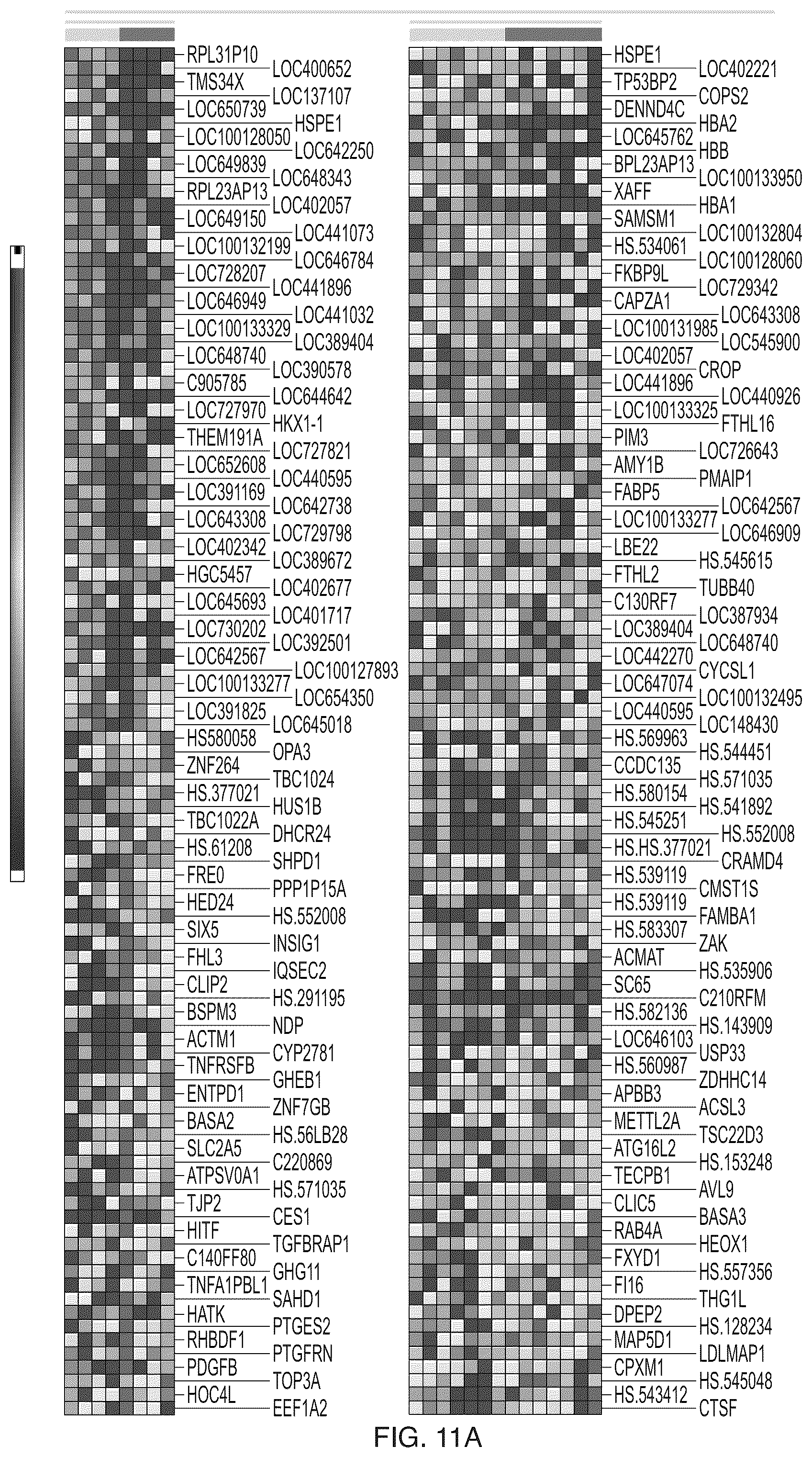 Patent US12157901 Figure 18 – Dendritic cell generator
