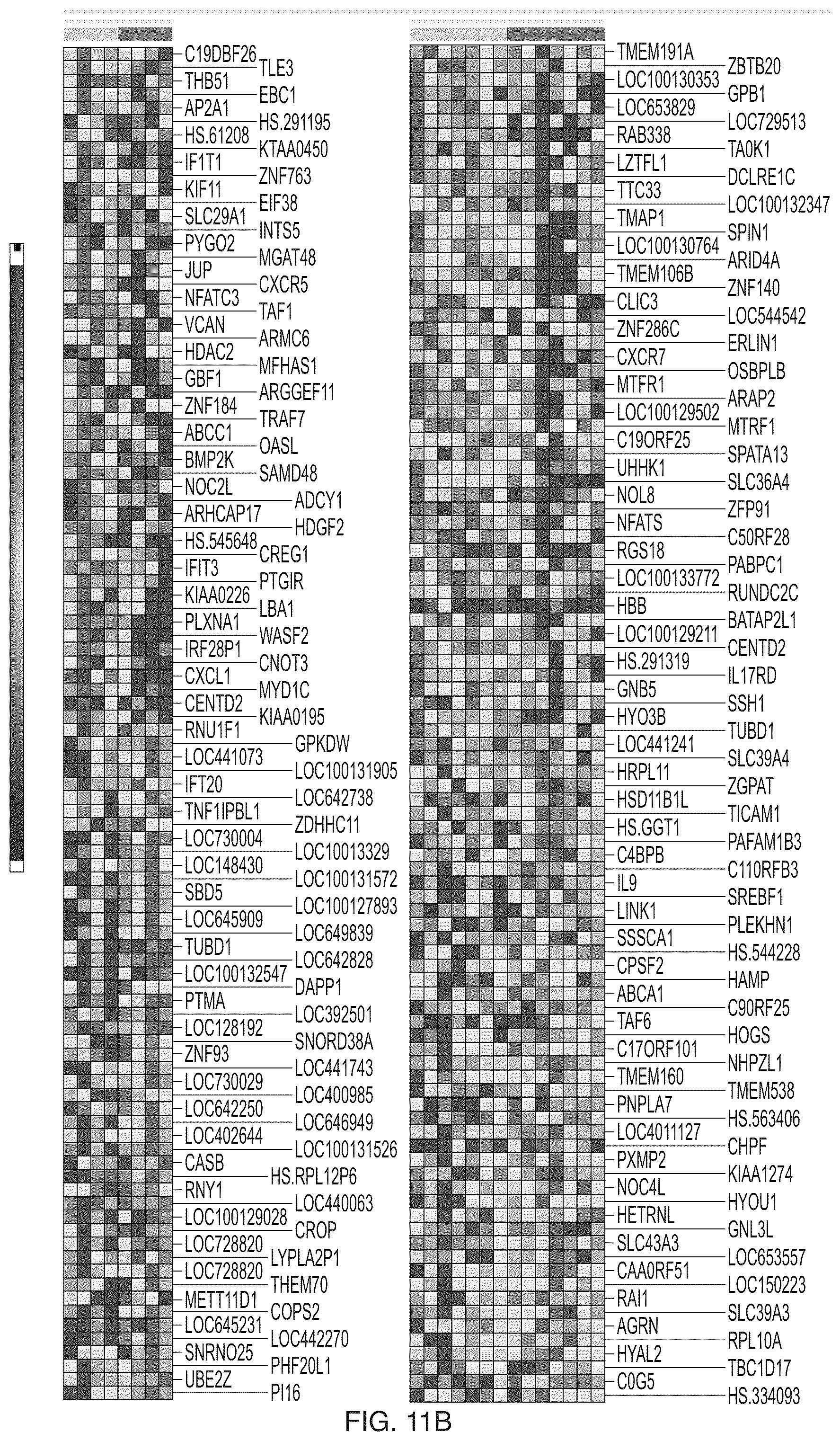 Patent US12157901 Figure 19 – Dendritic cell generator