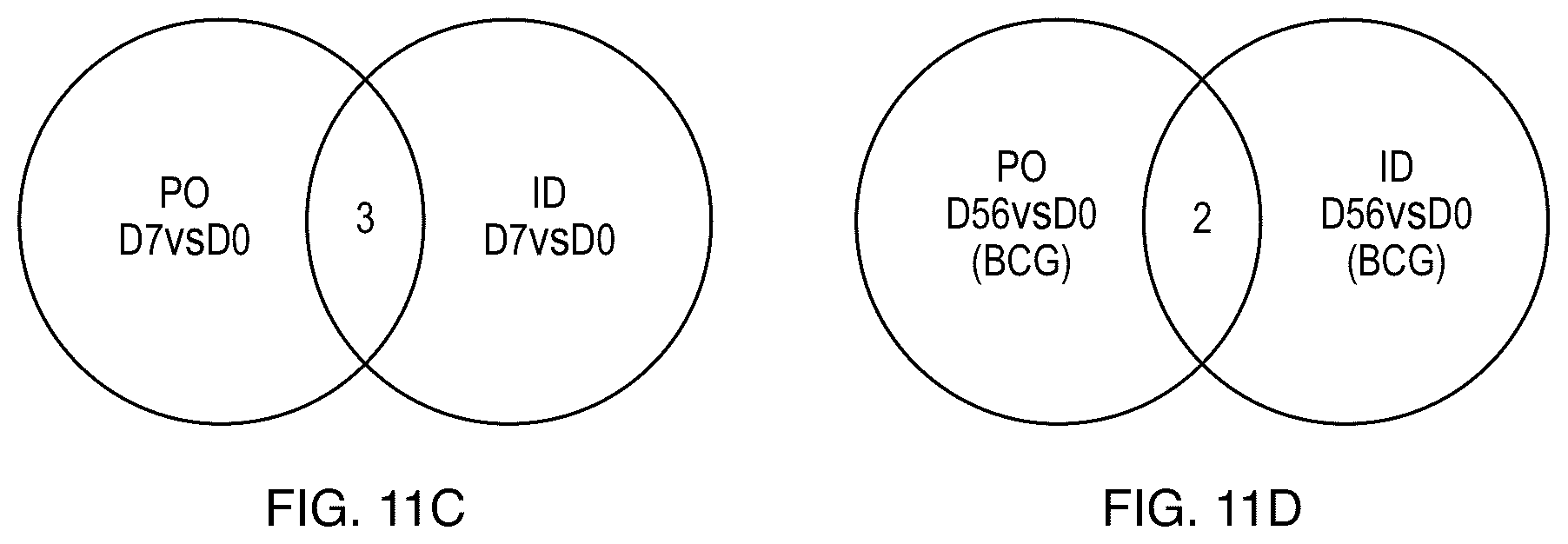 Patent US12157901 Figure 20 – Dendritic cell generator