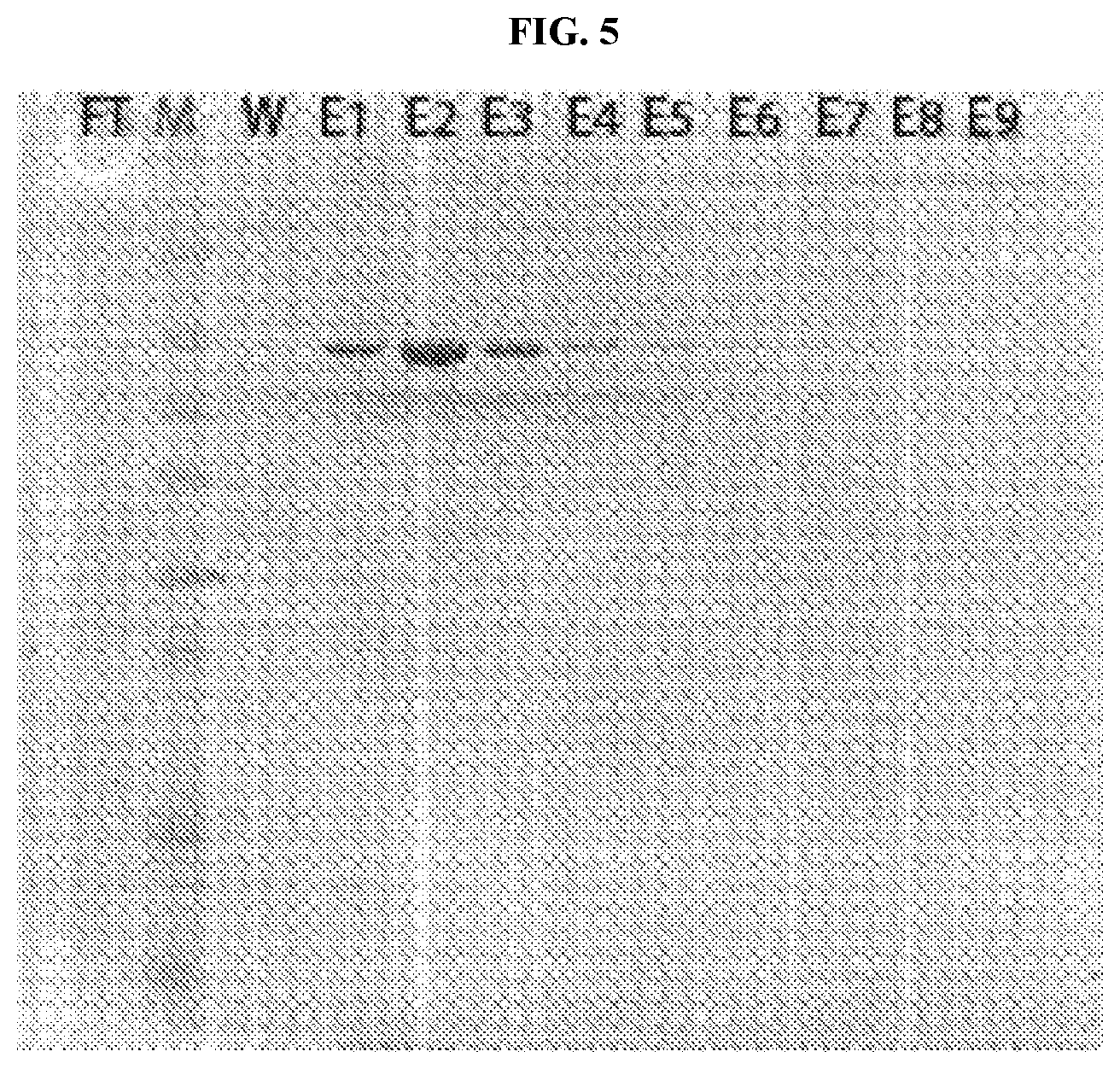 Patent US12157903 Figure 5 – Compositions and methods for reducing progression of nephrolithiasis