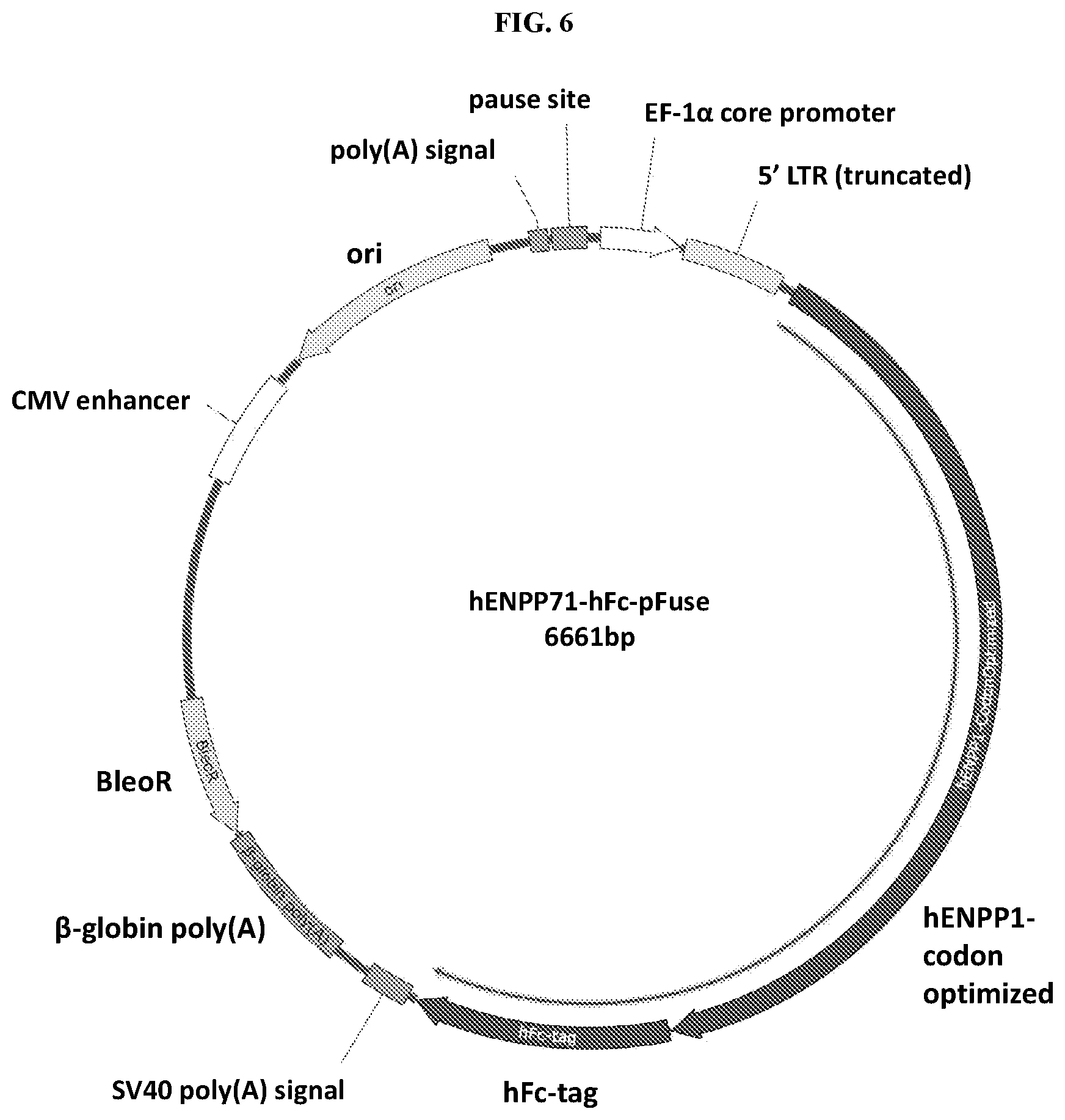Patent US12157903 Figure 6 – Compositions and methods for reducing progression of nephrolithiasis