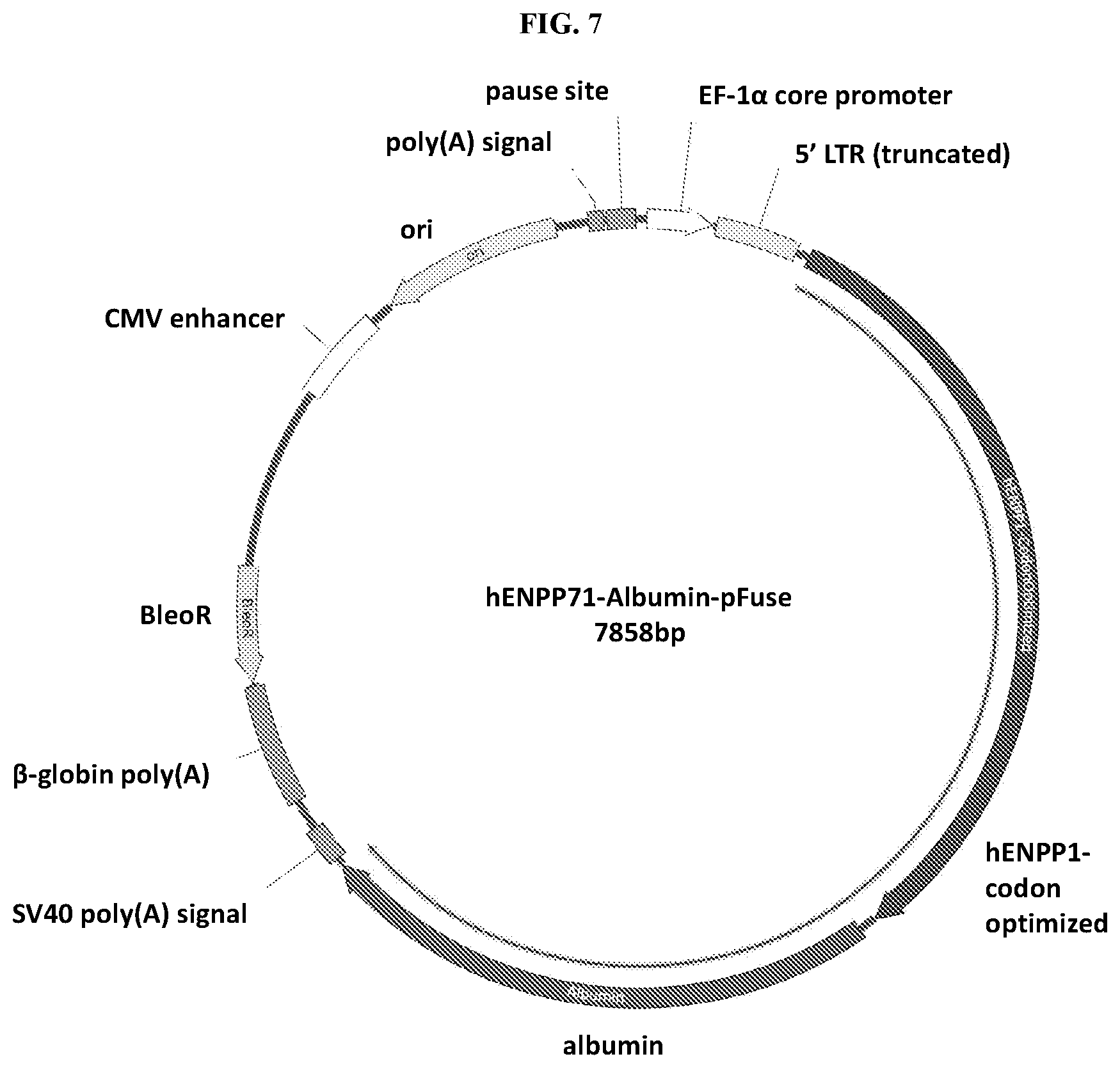 Patent US12157903 Figure 7 – Compositions and methods for reducing progression of nephrolithiasis