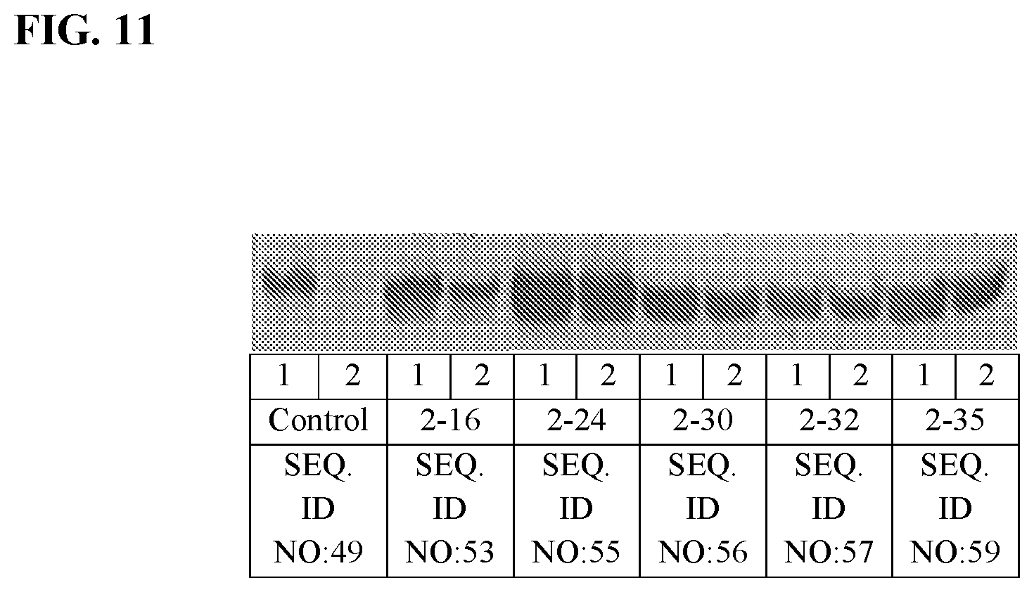 Patent US12157904 Figure 15 – Thioesterase variants having improved activity for the production of medium-chain fatty acid derivatives