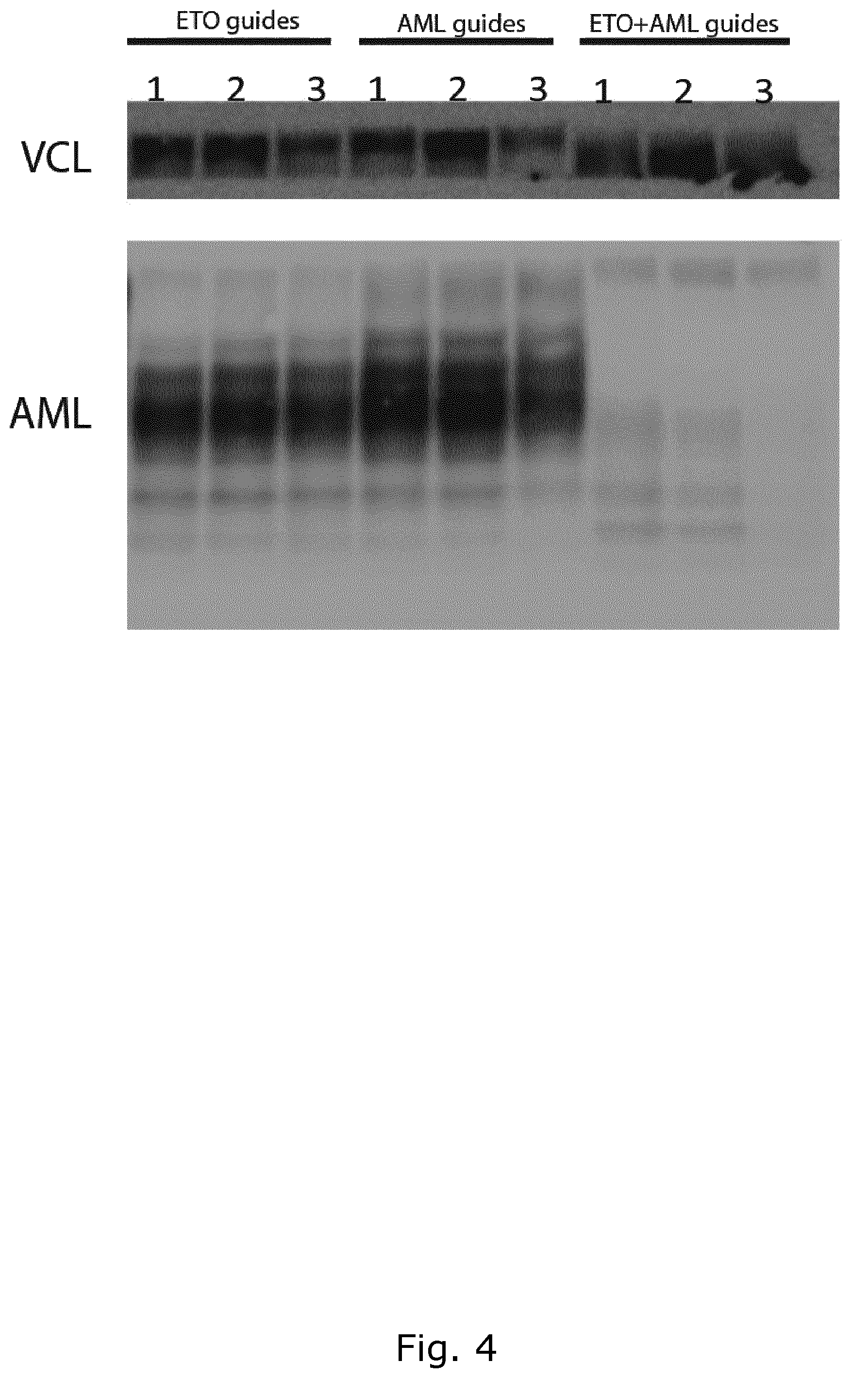 Patent US12157905 Figure 6 – CRISPR gene therapy of fusion gene related cancers