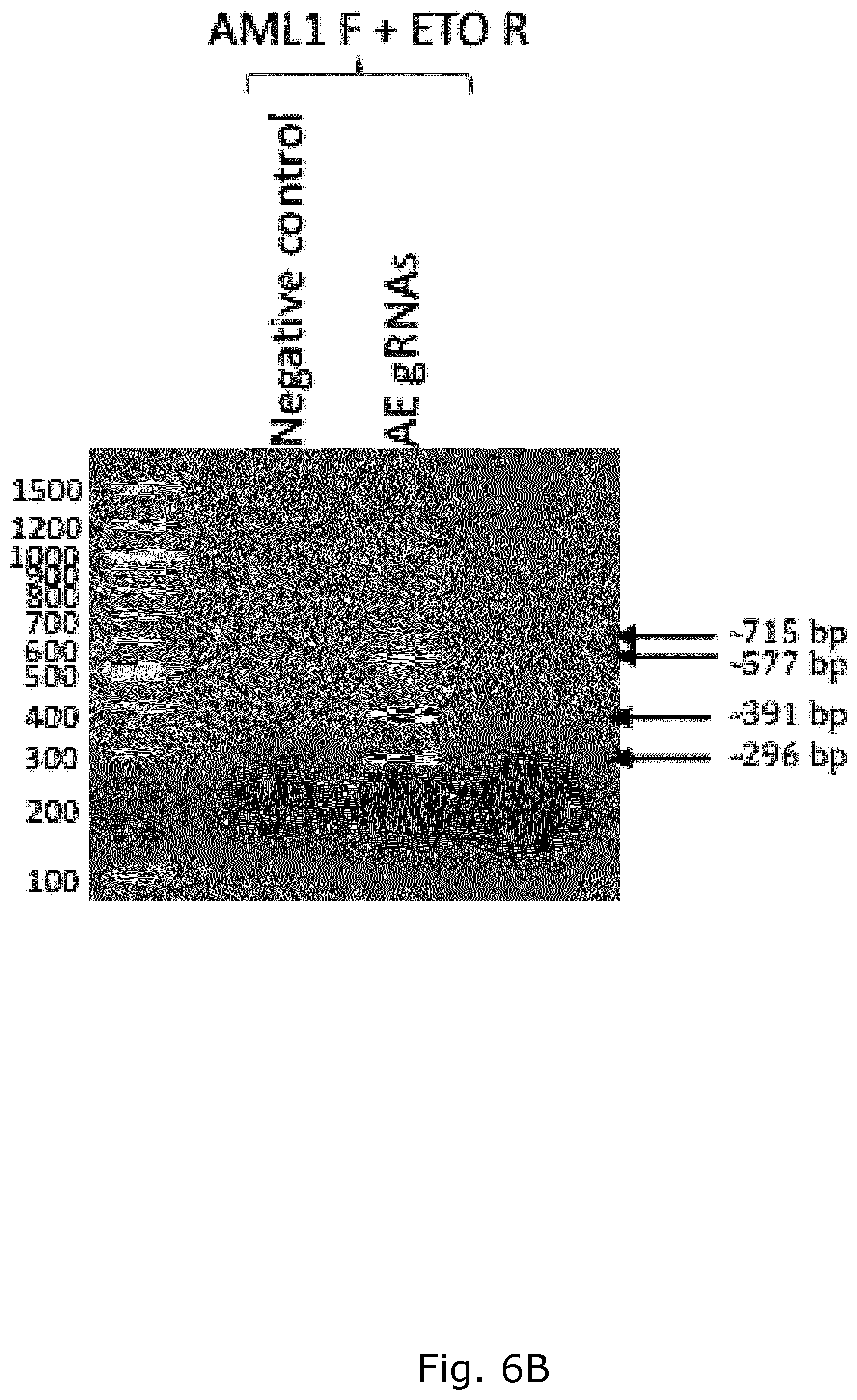 Patent US12157905 Figure 9 – CRISPR gene therapy of fusion gene related cancers