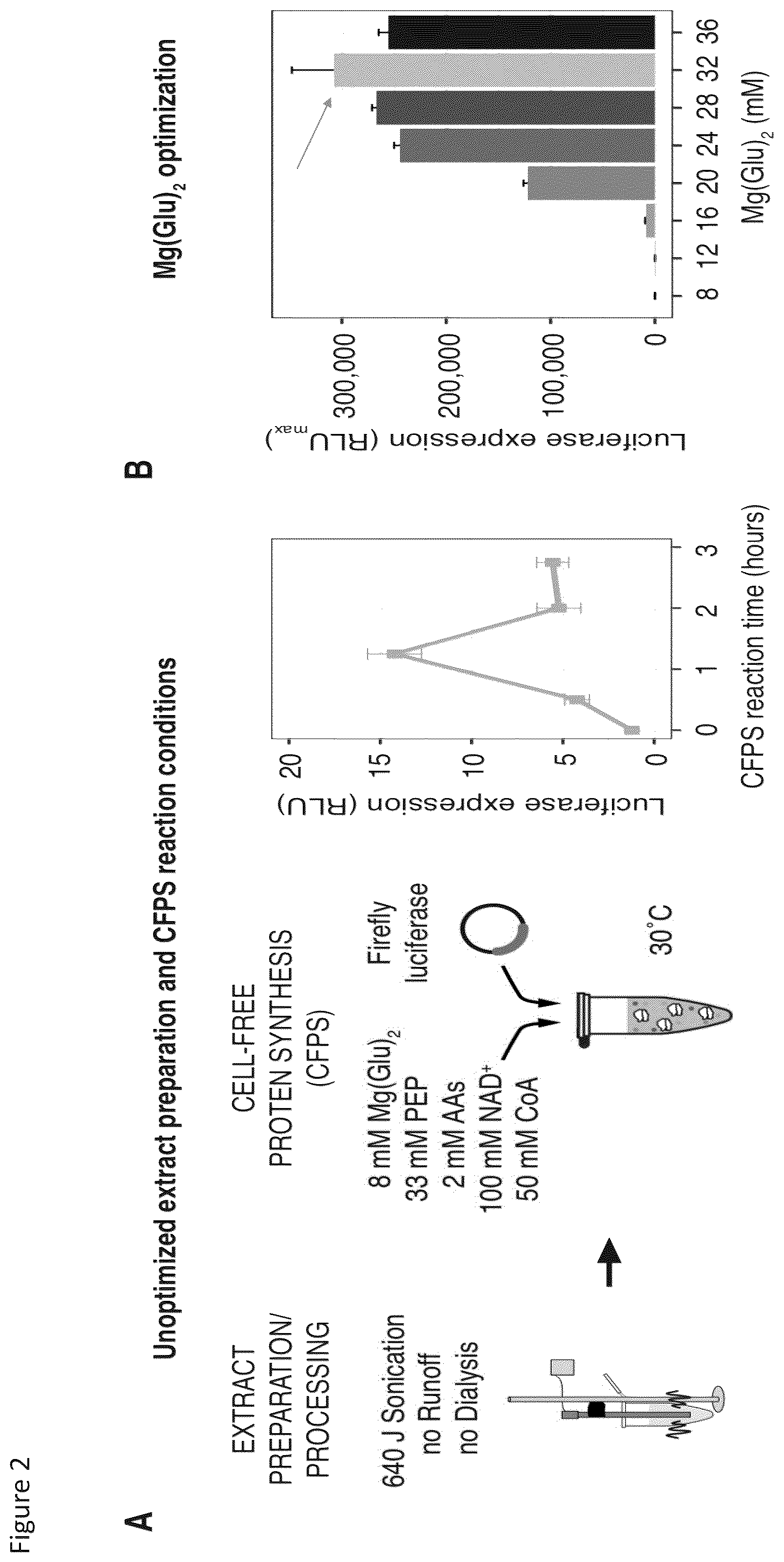 Patent US12157908 Figure 2 – Cell-free protein synthesis platforms derived from clostridia extracts