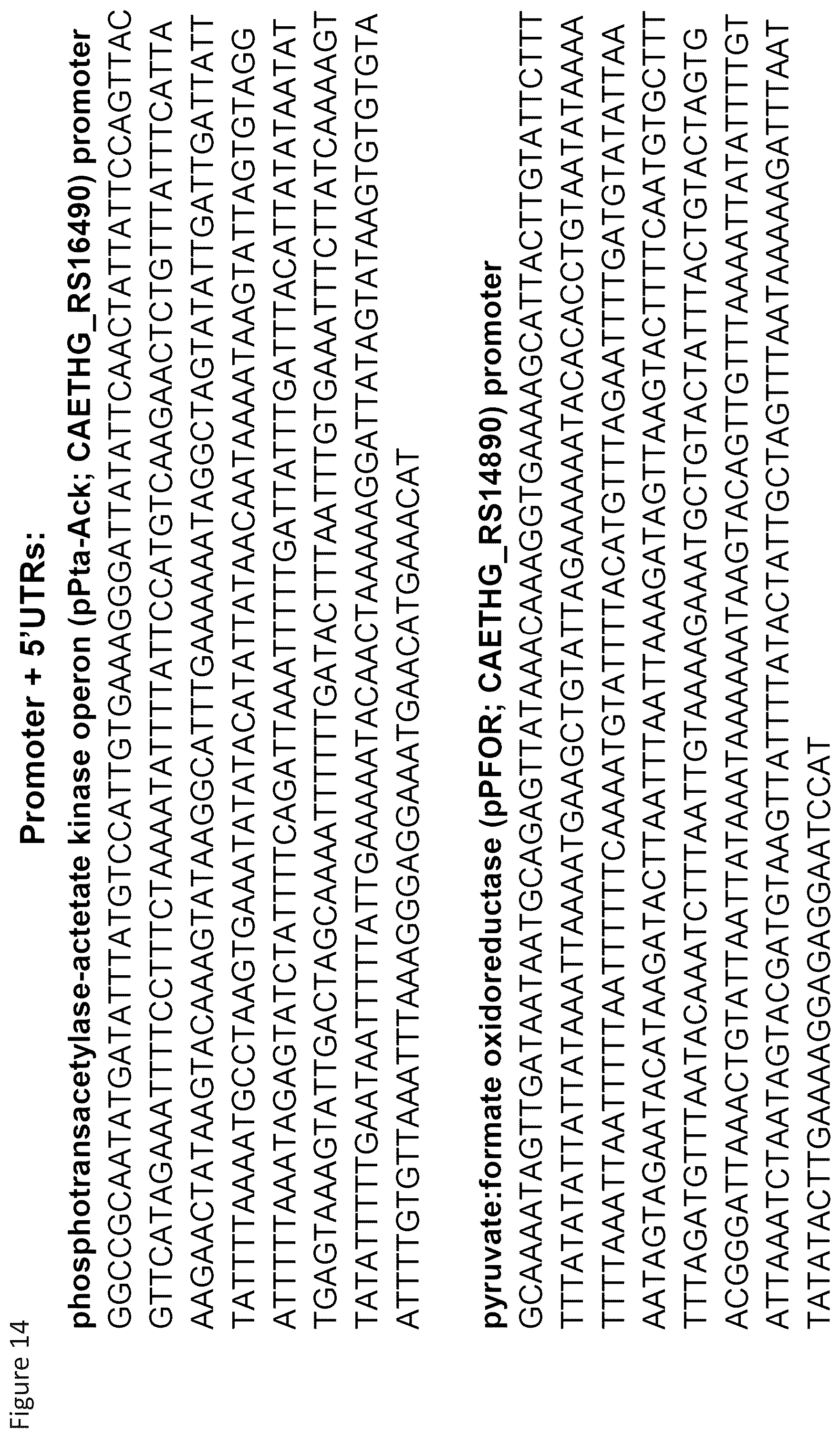 Patent US12157908 Figure 17 – Cell-free protein synthesis platforms derived from clostridia extracts