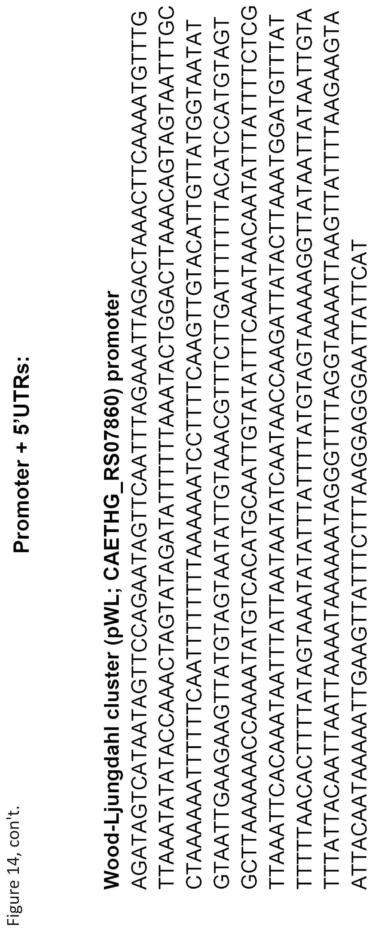Patent US12157908 Figure 18 – Cell-free protein synthesis platforms derived from clostridia extracts
