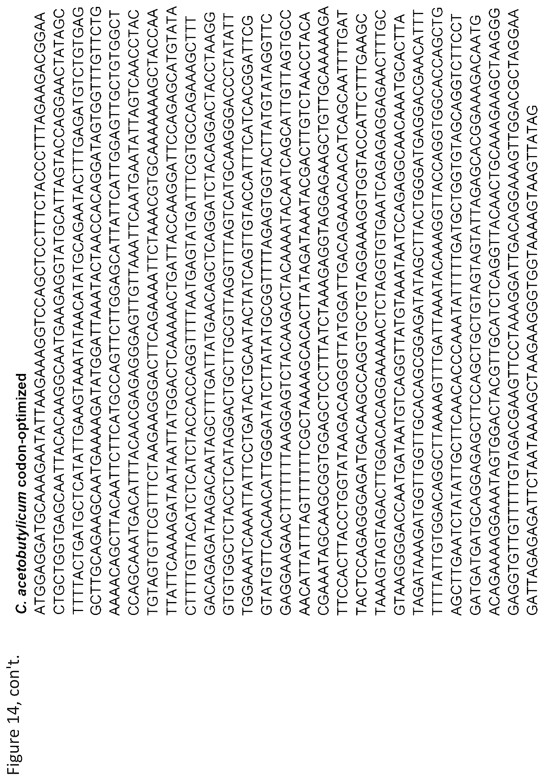 Patent US12157908 Figure 19 – Cell-free protein synthesis platforms derived from clostridia extracts