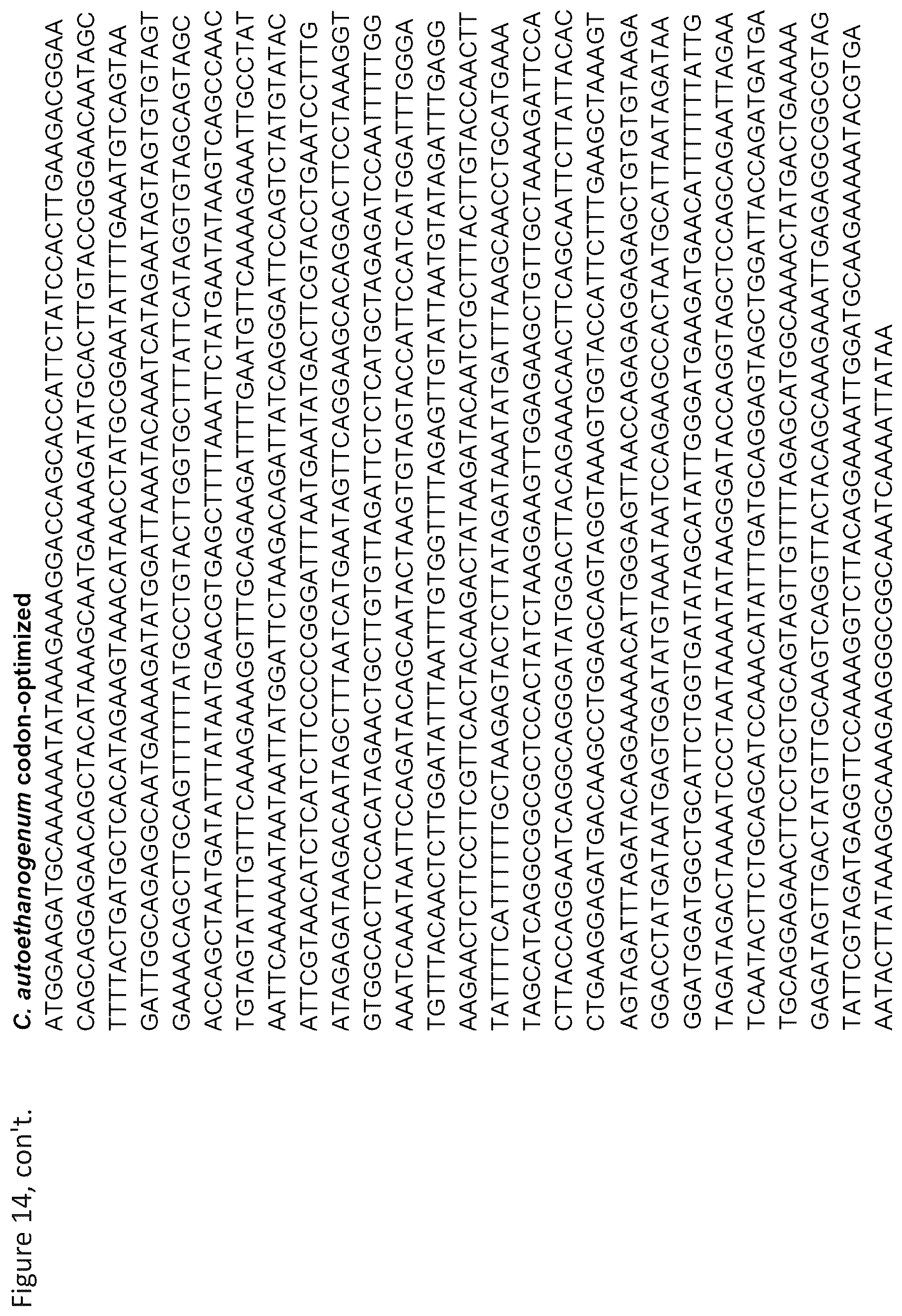Patent US12157908 Figure 20 – Cell-free protein synthesis platforms derived from clostridia extracts