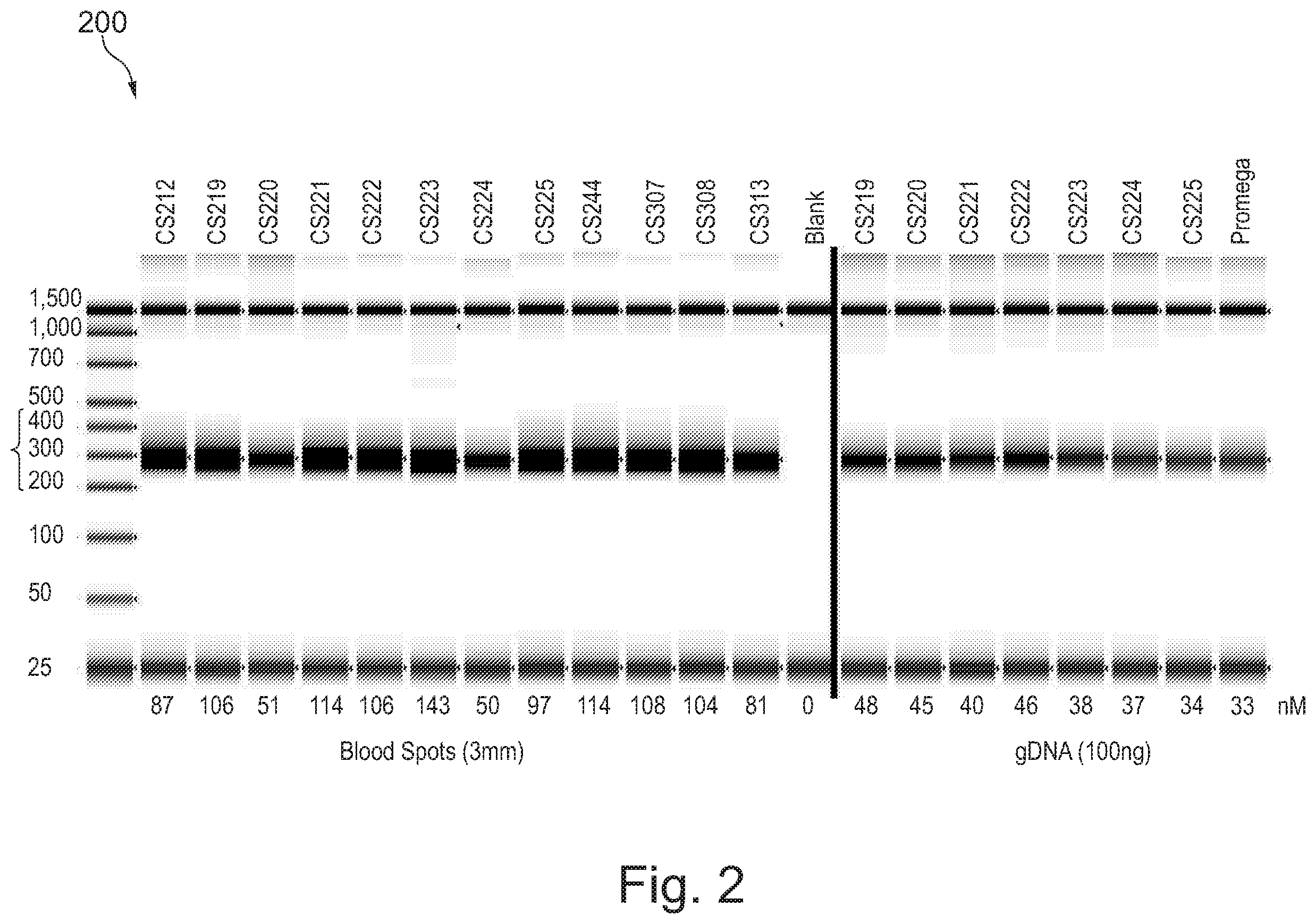 Patent US12157910 Figure 2 – Sample preparation for nucleic acid amplification
