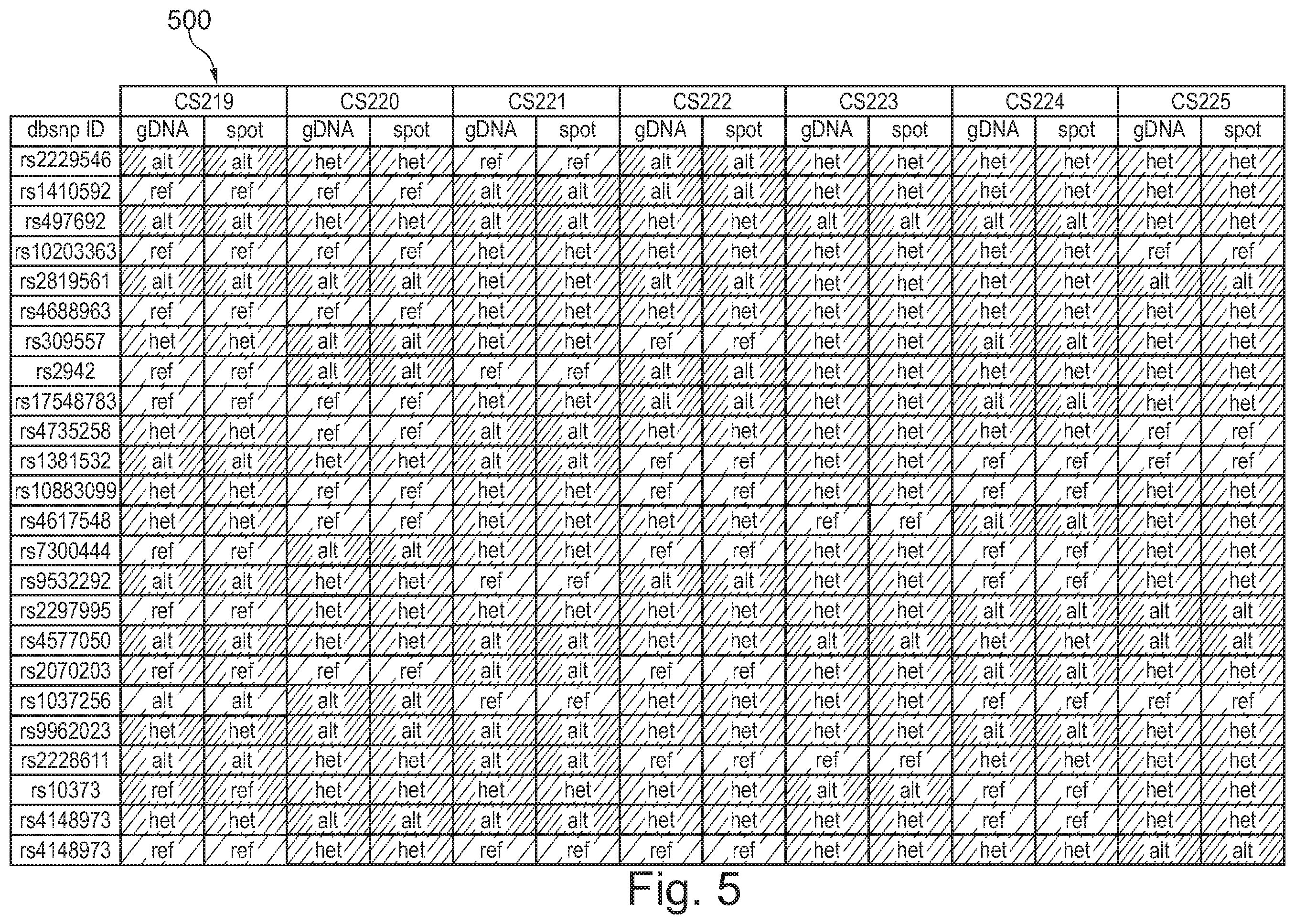 Patent US12157910 Figure 5 – Sample preparation for nucleic acid amplification