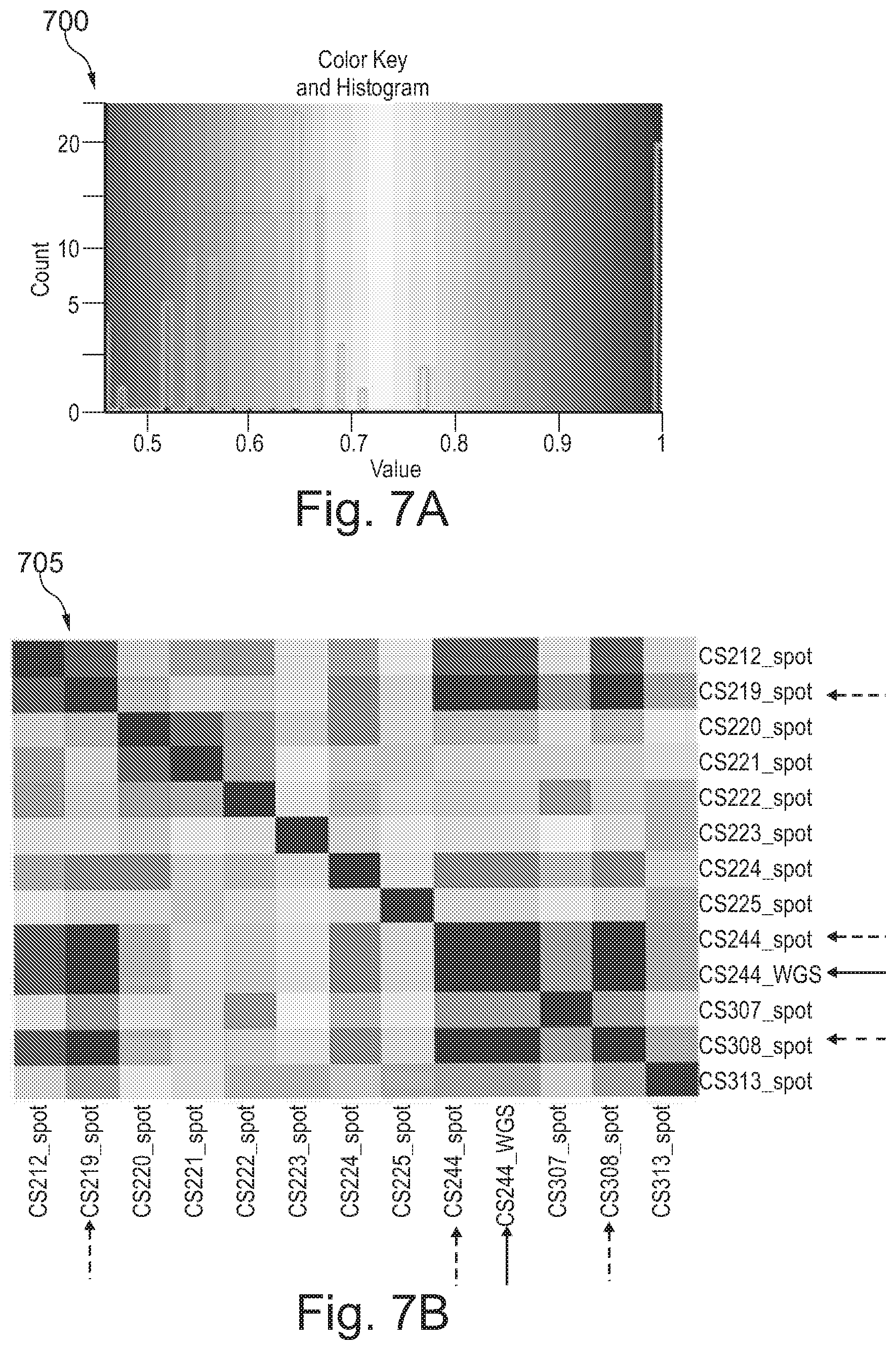 Patent US12157910 Figure 7 – Sample preparation for nucleic acid amplification
