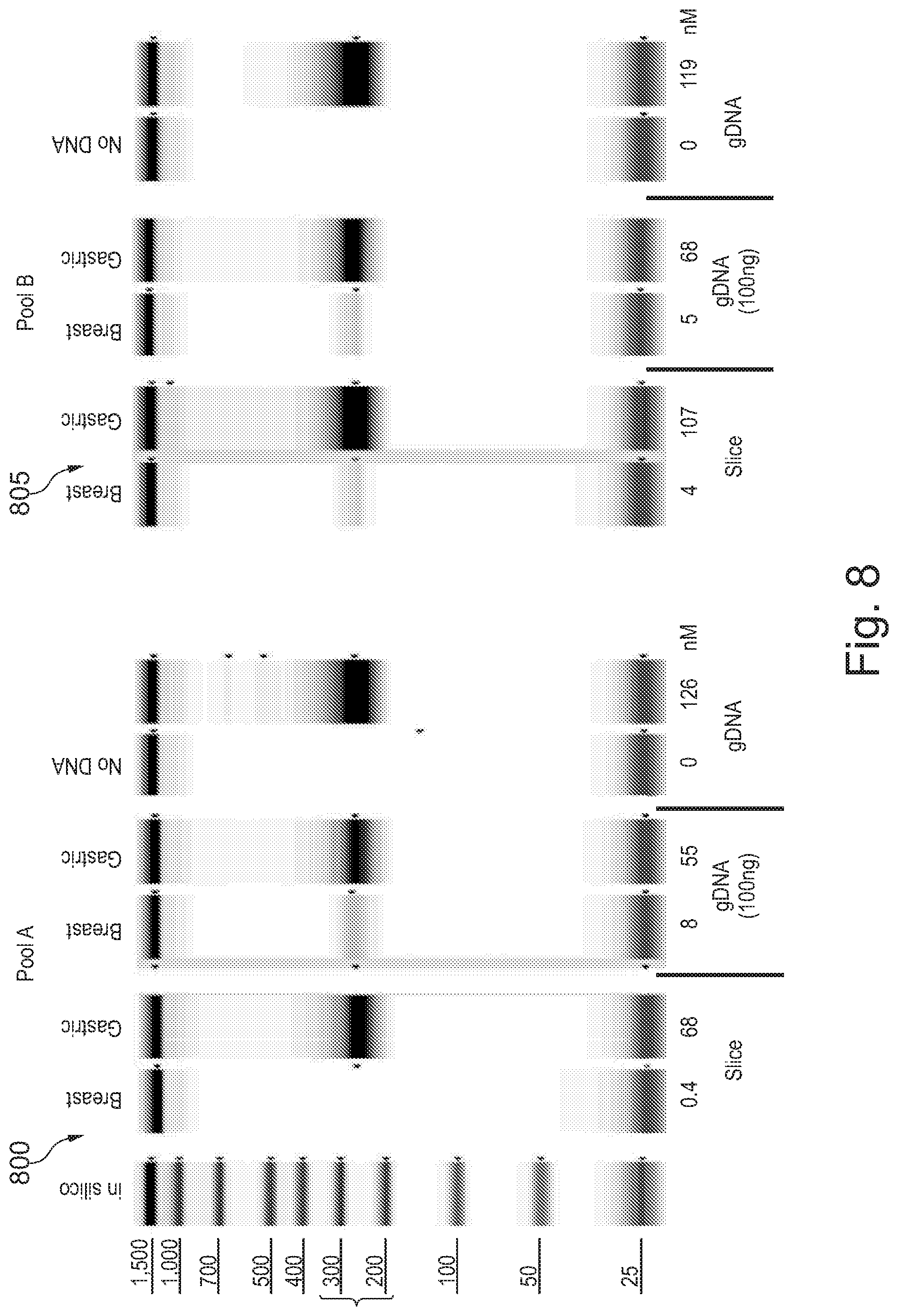 Patent US12157910 Figure 8 – Sample preparation for nucleic acid amplification