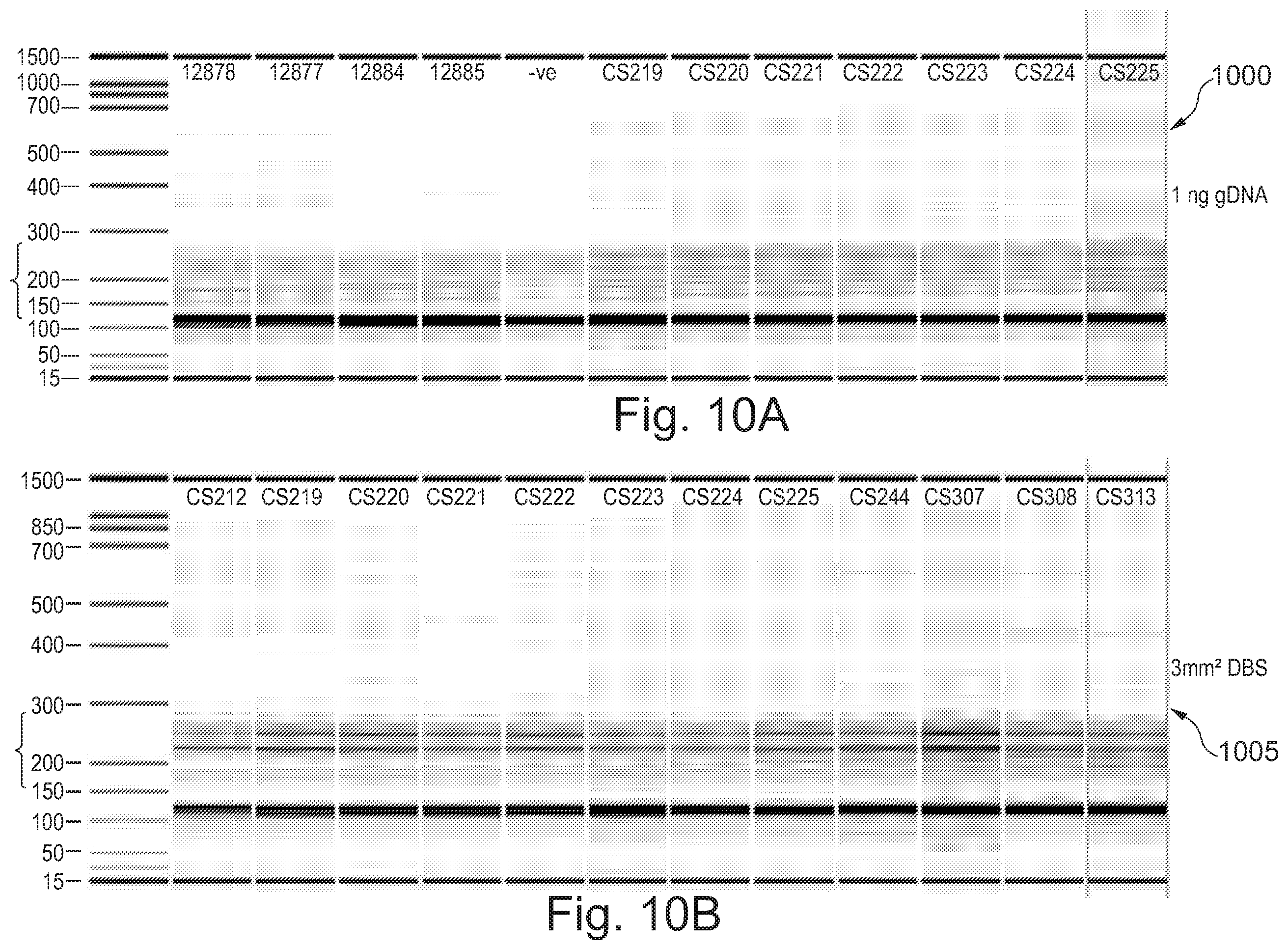 Patent US12157910 Figure 10 – Sample preparation for nucleic acid amplification